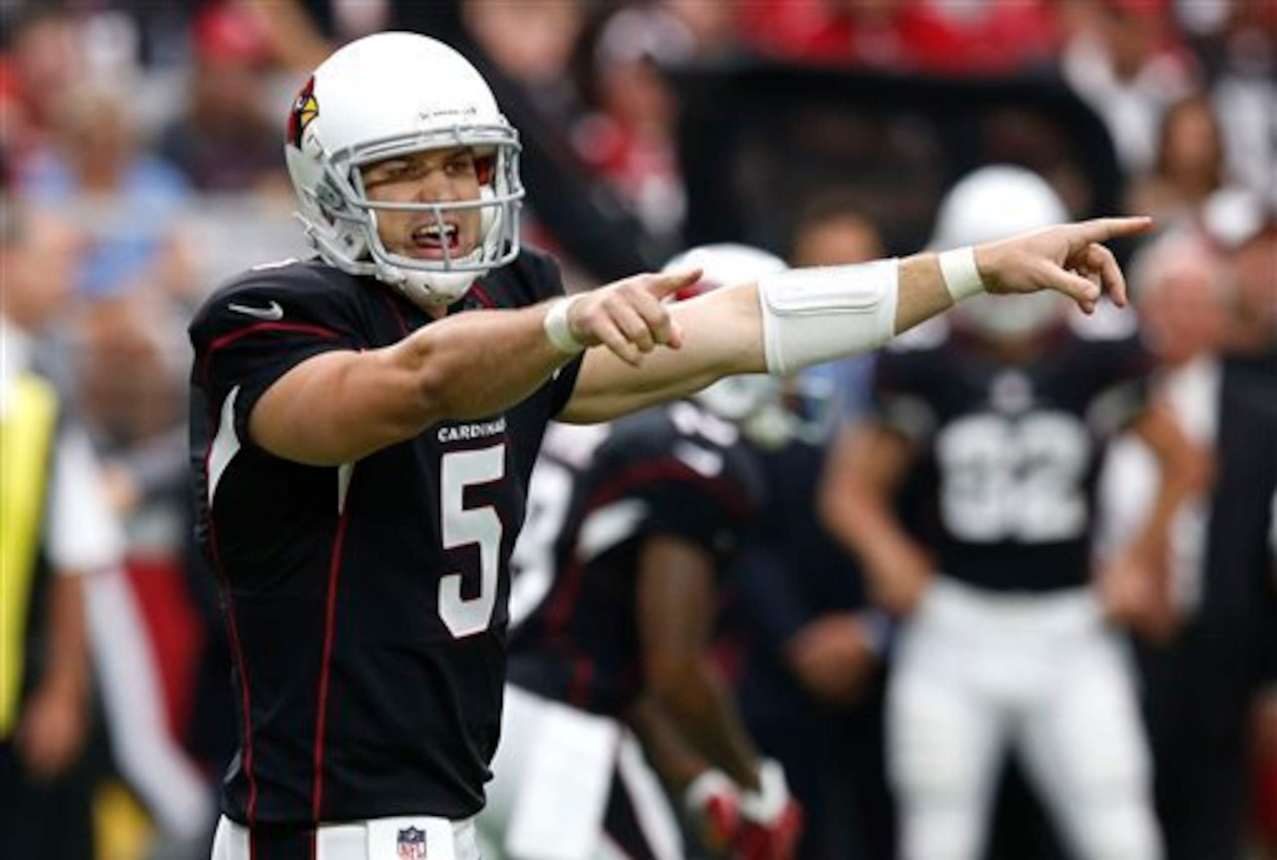 Cardinals QB Drew Stanton