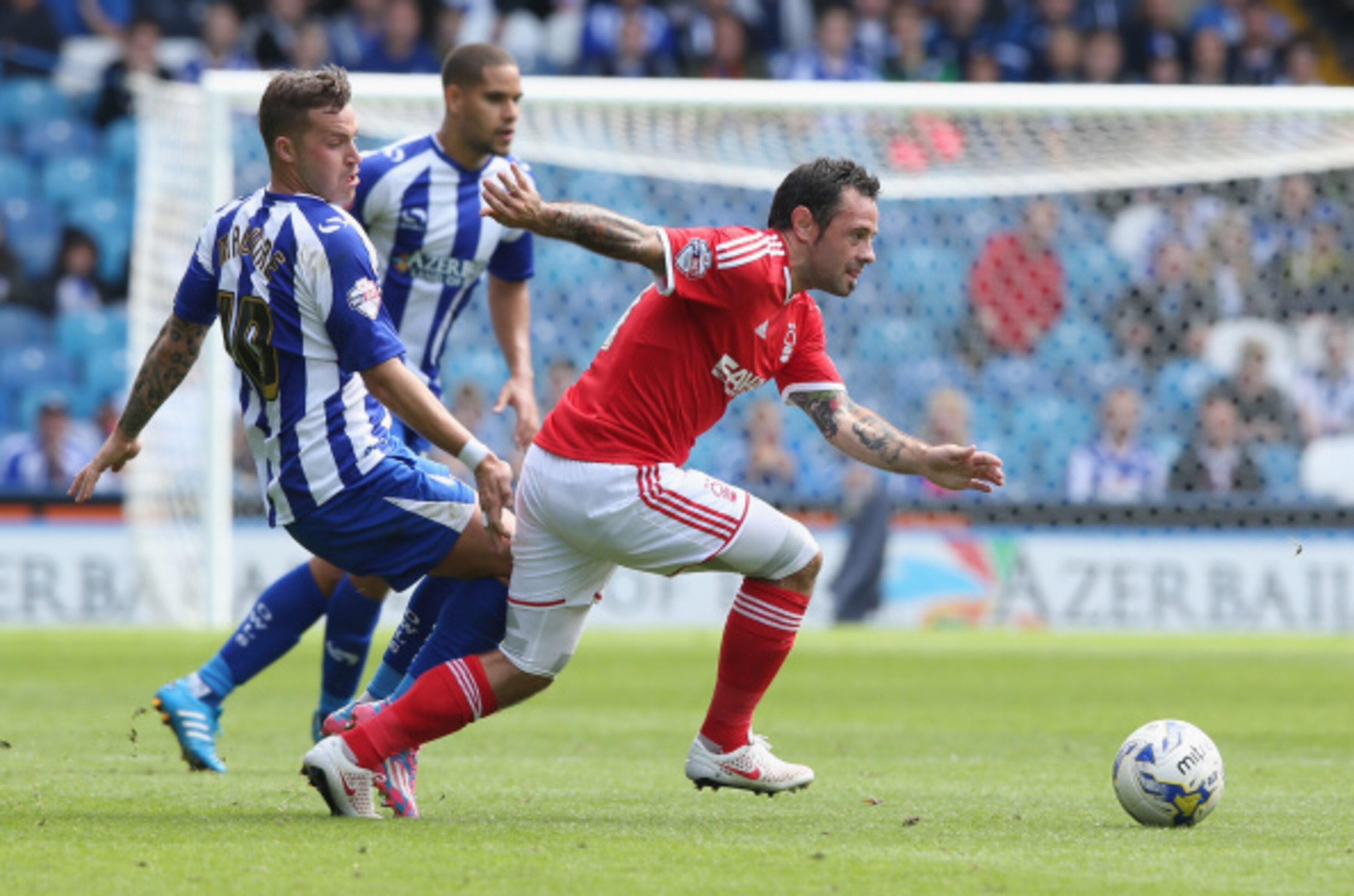Sheffield Wednesday are far more comfortable taking on the likes of Nottingham Forest. Sheffield Wednesday are far more comfortable taking on the likes of Nottingham Forest.
