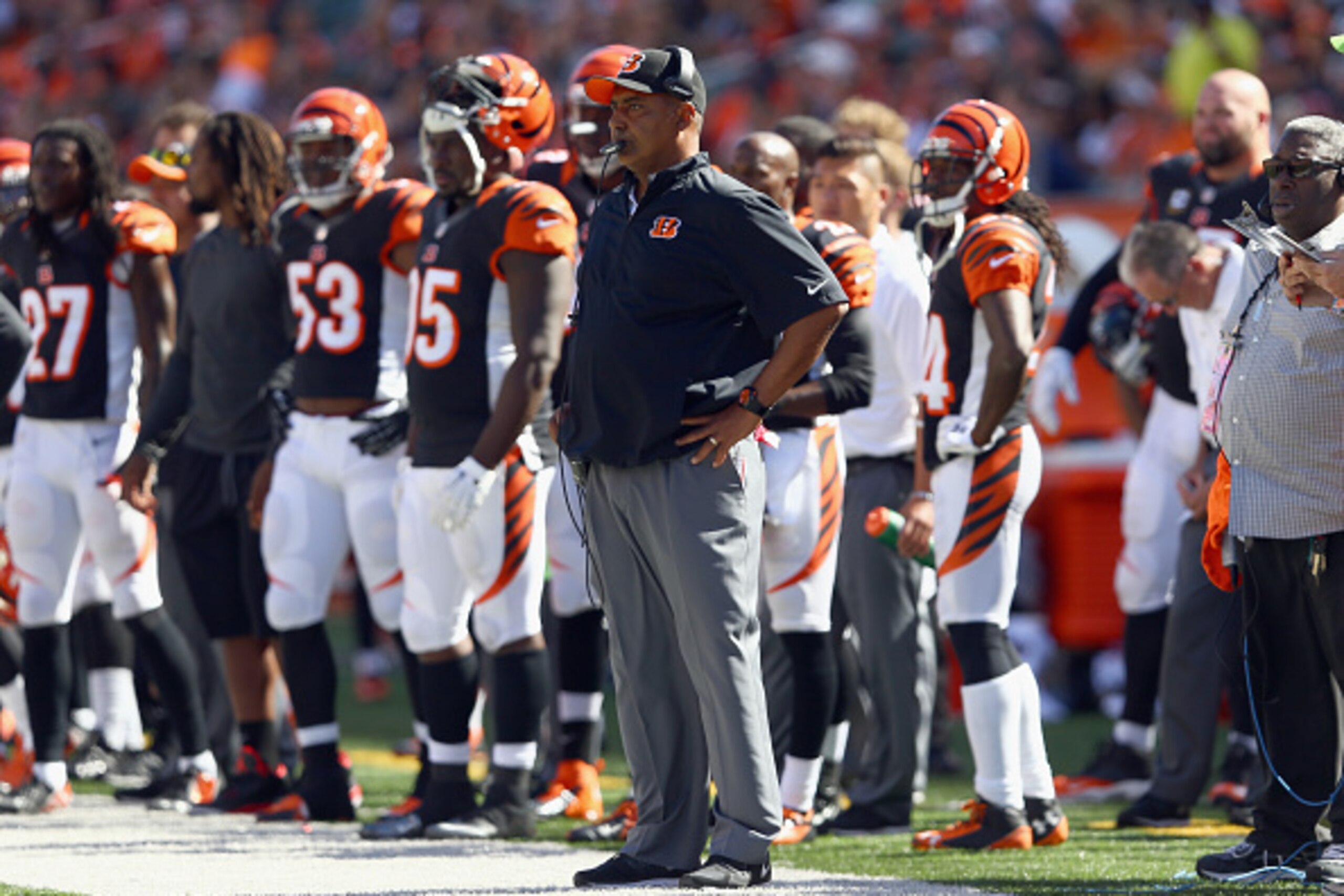 It is hard to imagine that any team has played better than the Cincinnati Bengals so far in 2014.