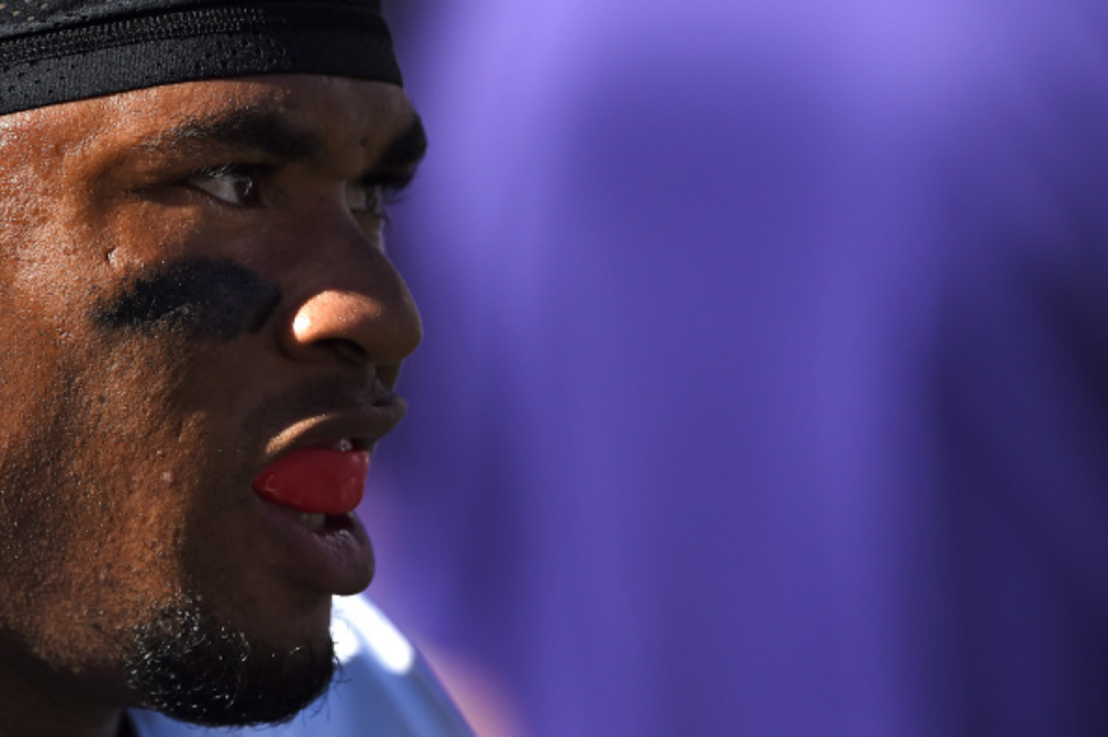 Ravens WR Steve Smith