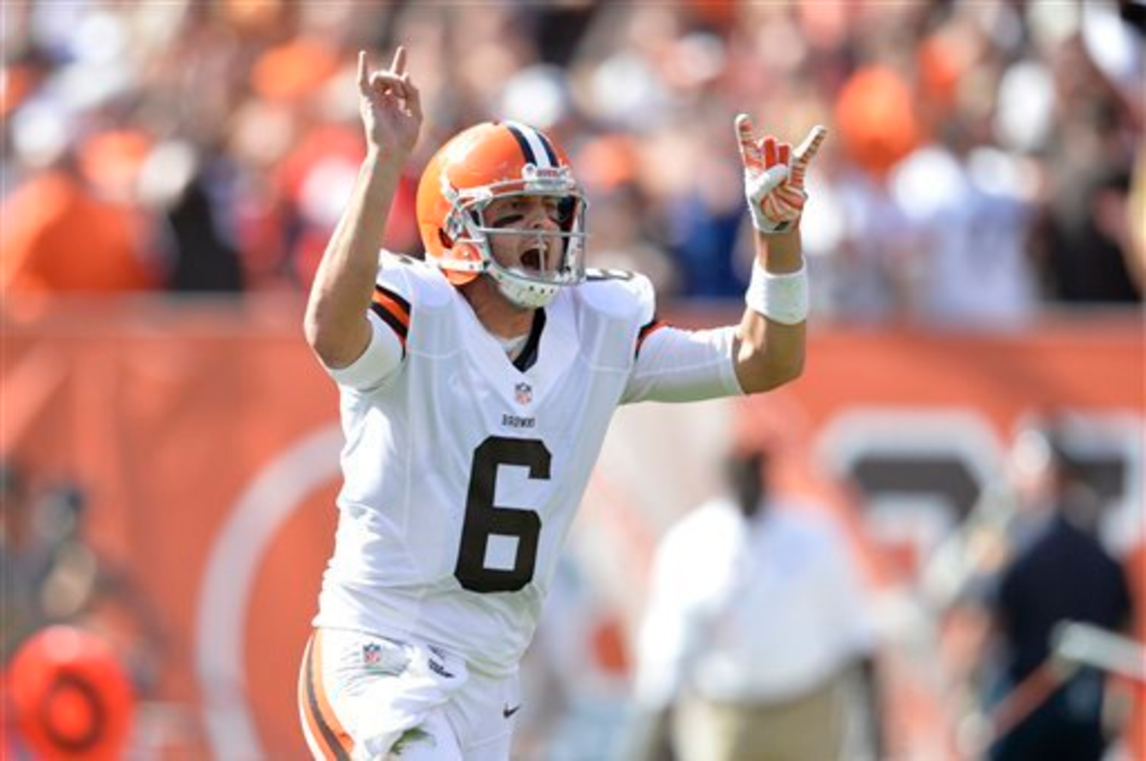 Now a Brown, Brian Hoyer was first a Wildcat. Now a Brown, Brian Hoyer was first a Wildcat.