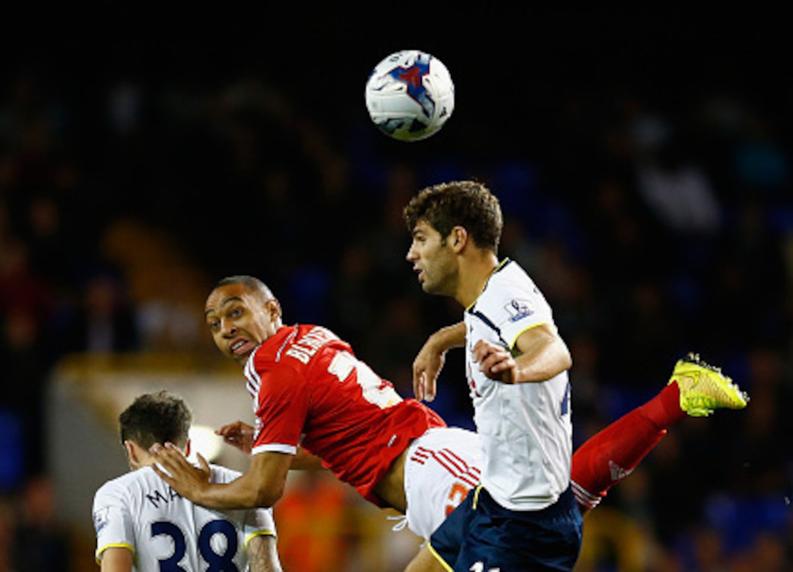 Federico Fazio has been used sparingly since joining Tottenham.