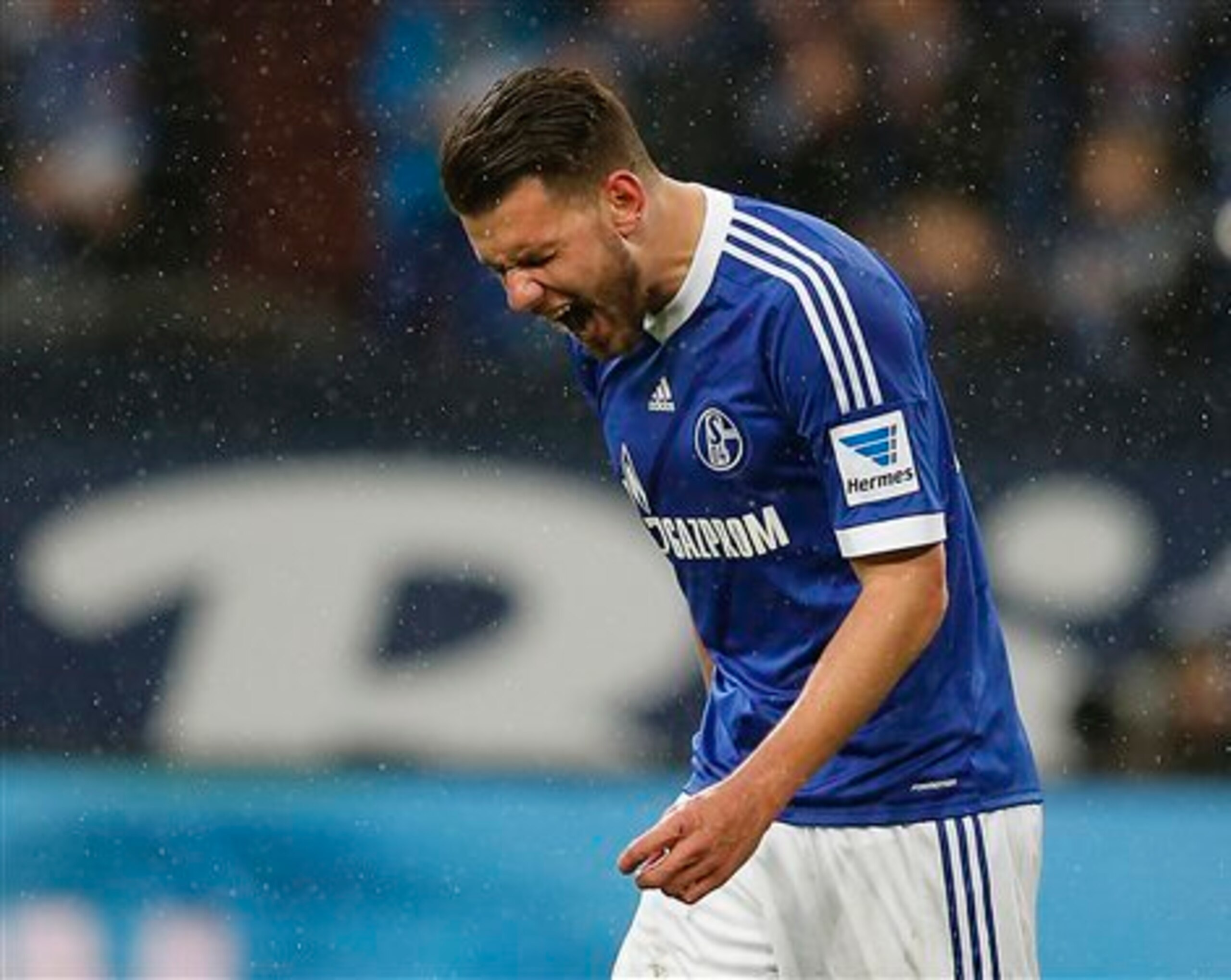 Szalai at Schalke