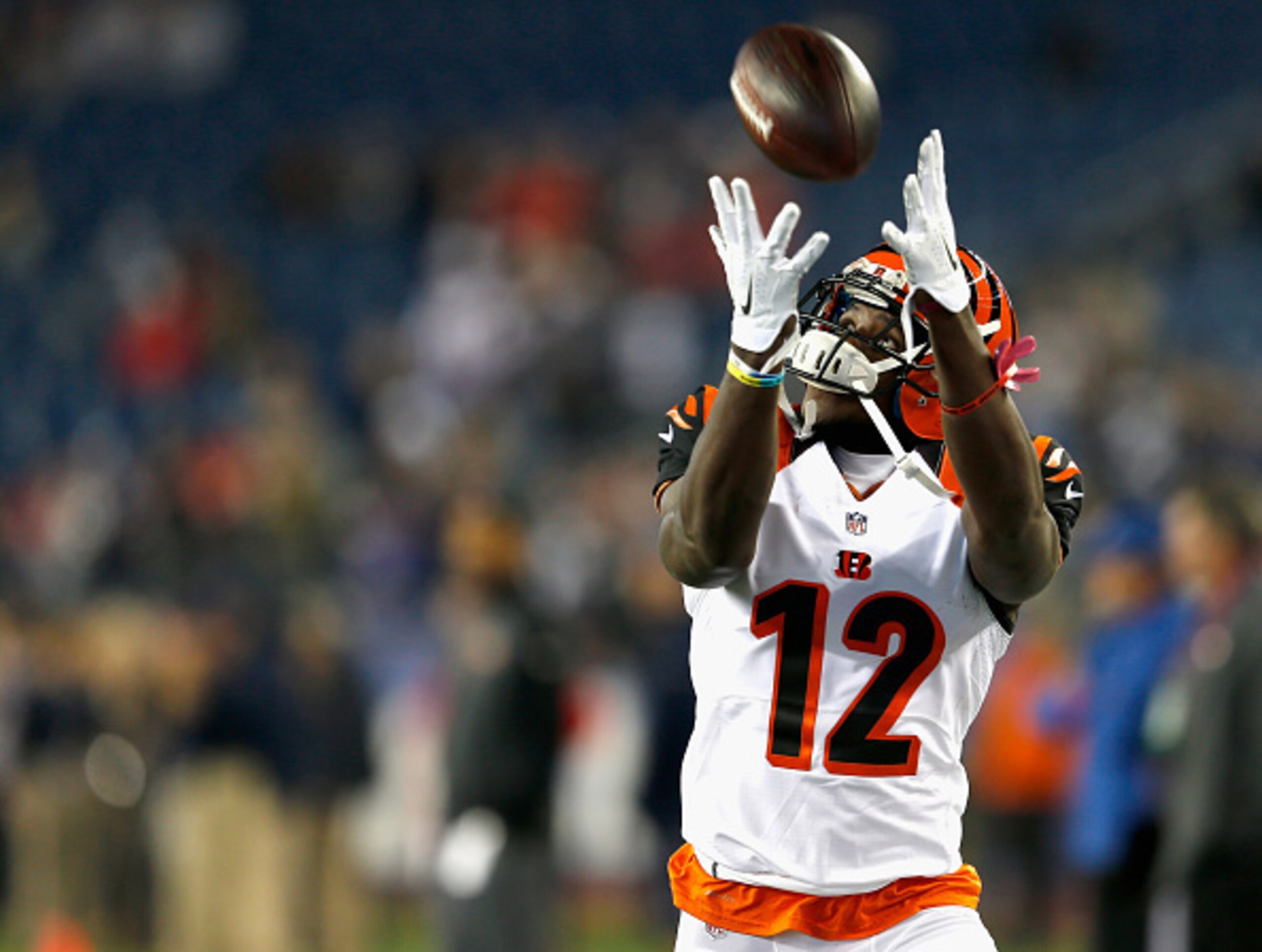 Bengals WR Mohamed Sanu