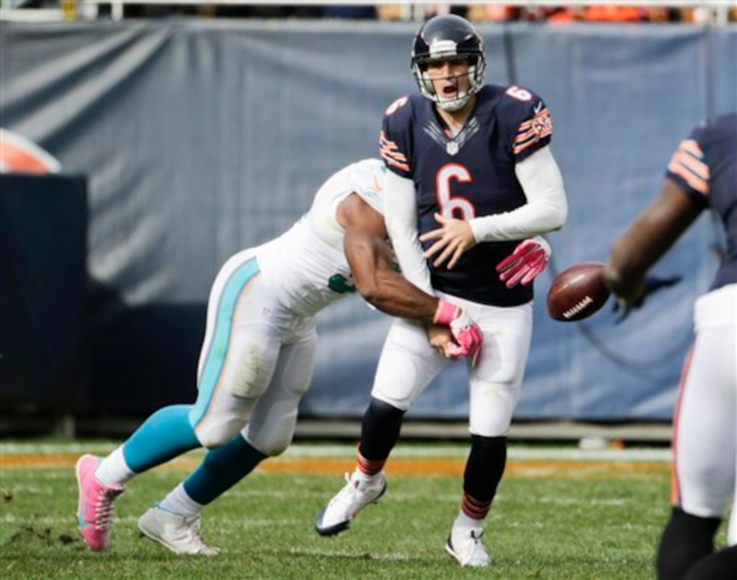 Bears QB Jay Cutler