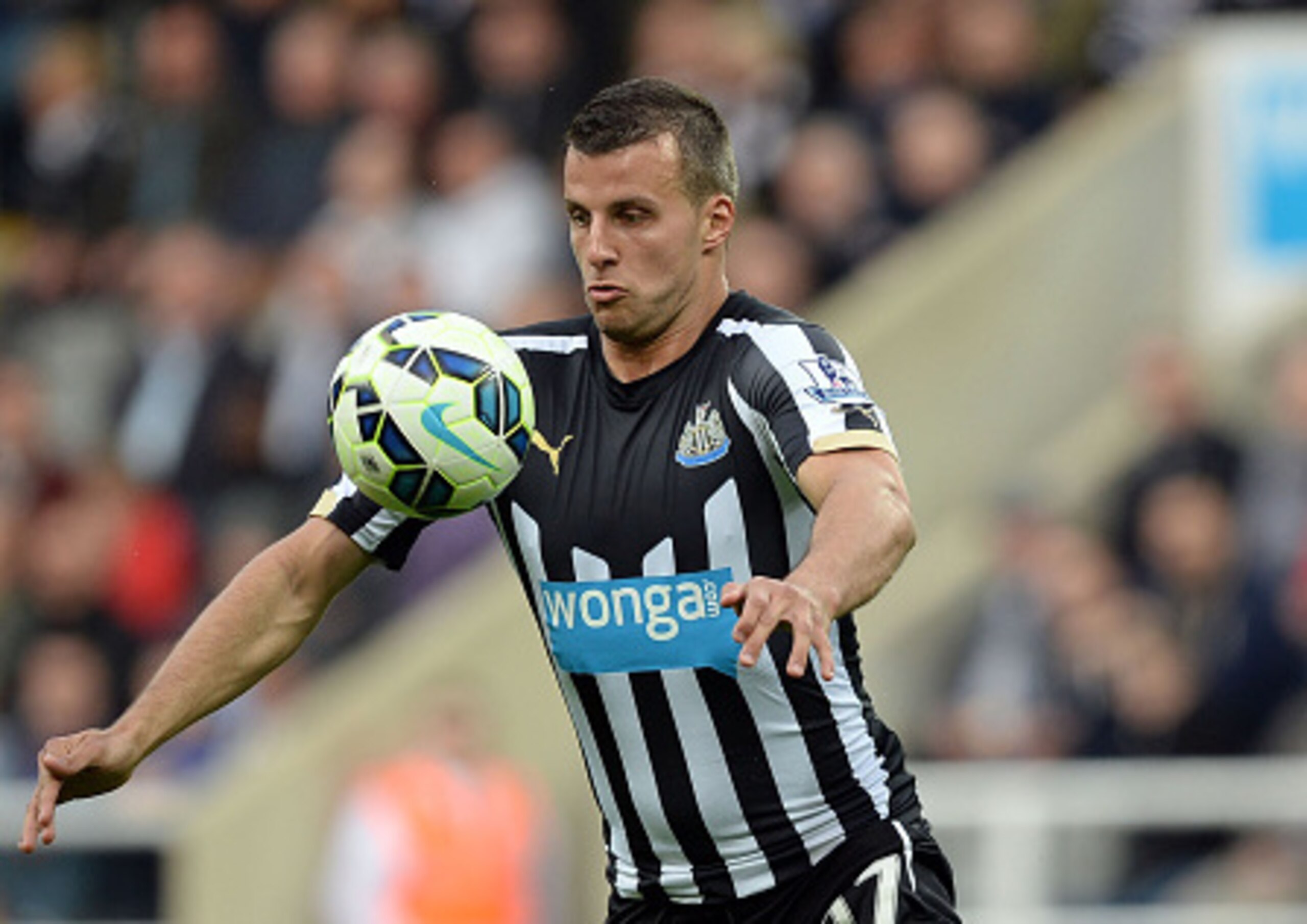Steven Taylor was back in the Newcastle defence for their 1-0 win over Leicester last weekend.