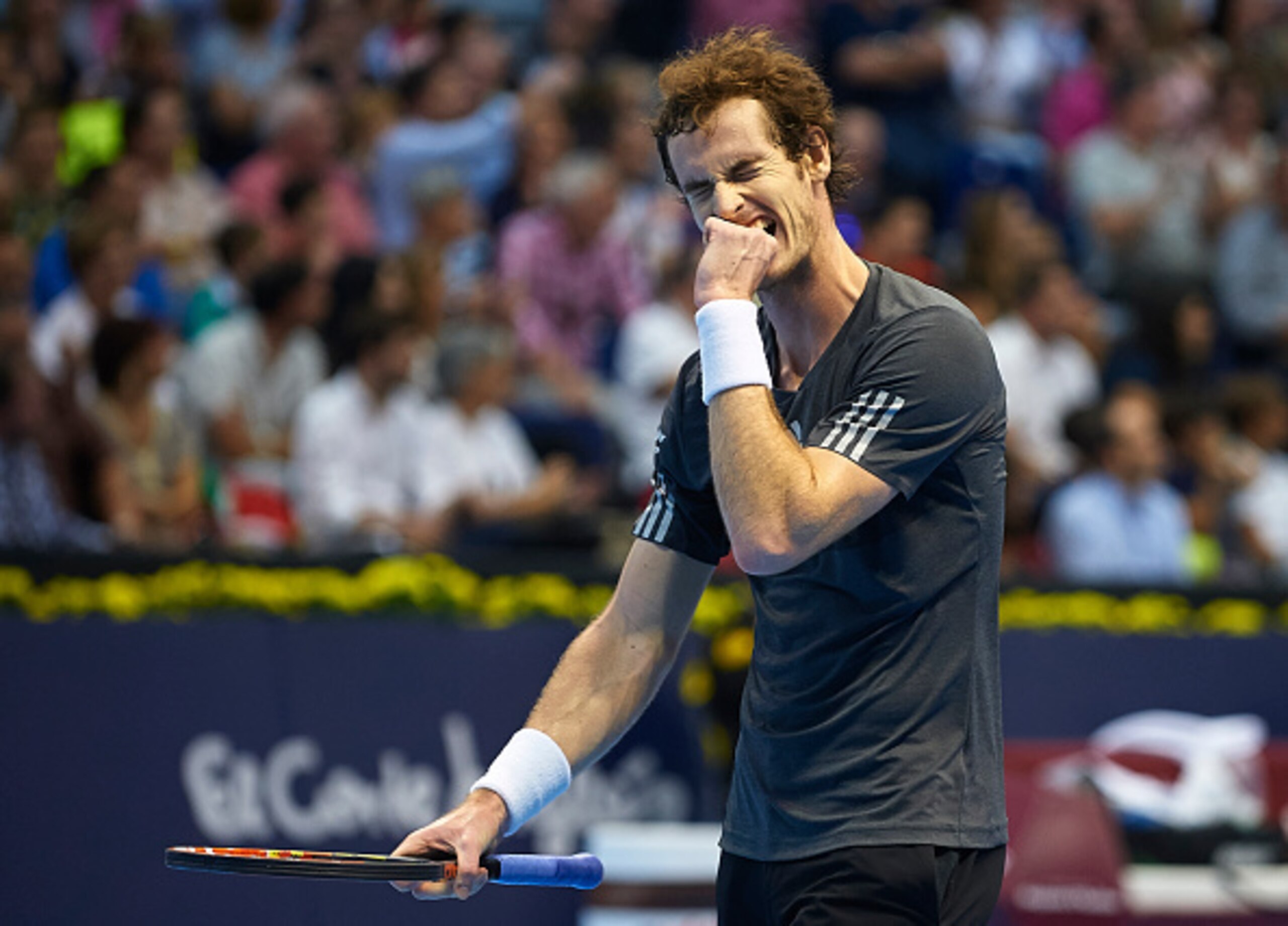 VALENCIA, SPAIN - OCTOBER 25: Andy Murray of Great Britain reacts against David Ferrer of Spain in the semi-final on day six of the ATP 500 World Tour Valencia Open tennis tournament at the Ciudad de las Artes y las Ciencias on October 25, 2014 in Valenc VALENCIA, SPAIN - OCTOBER 25: Andy Murray of Great Britain reacts against David Ferrer of Spain in the semi-final on day six of the ATP 500 World Tour Valencia Open tennis tournament at the Ciudad de las Artes y las Ciencias on October 25, 2014 in Valenc