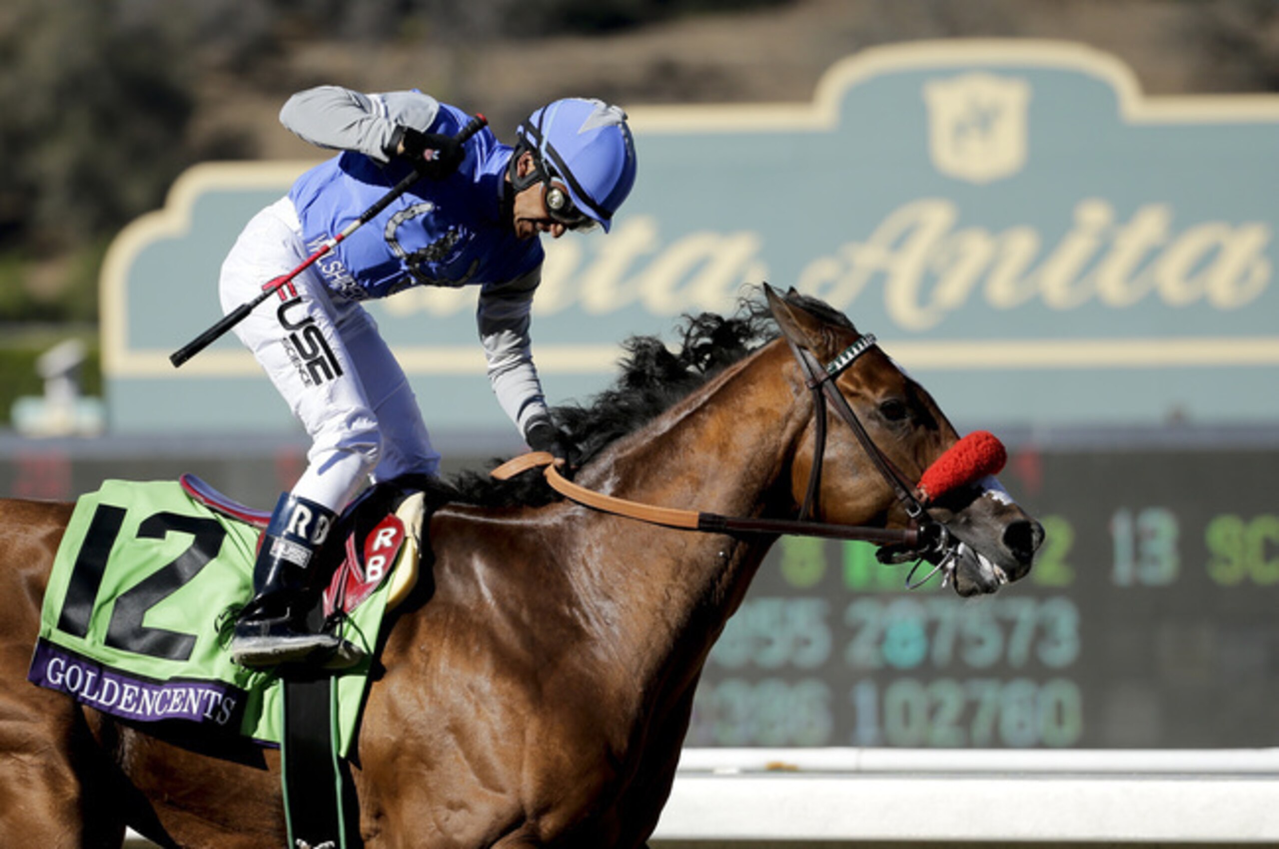 Goldencents will be the shortest-priced favorite this Breeders' Cup.