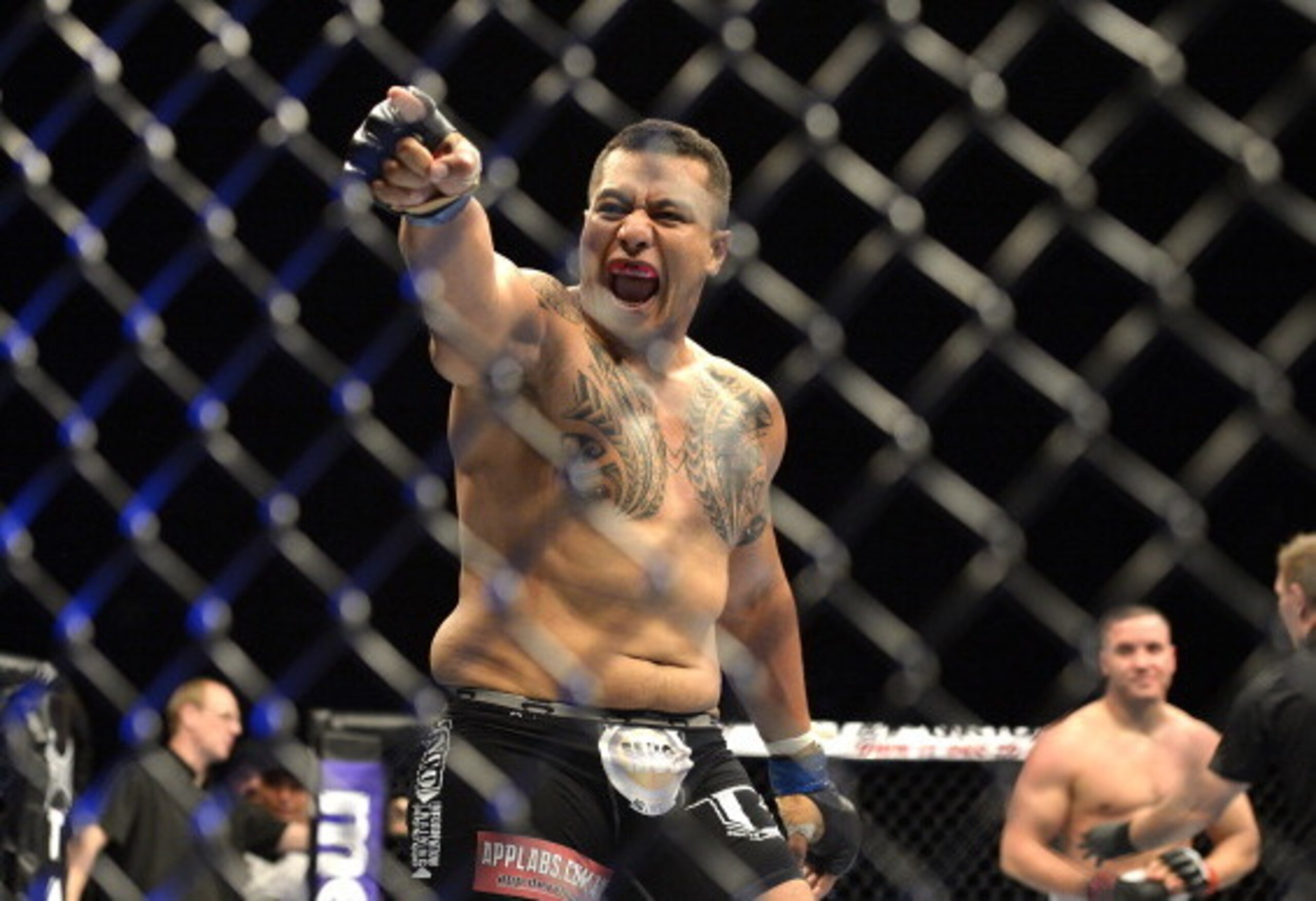 Soa Palelei