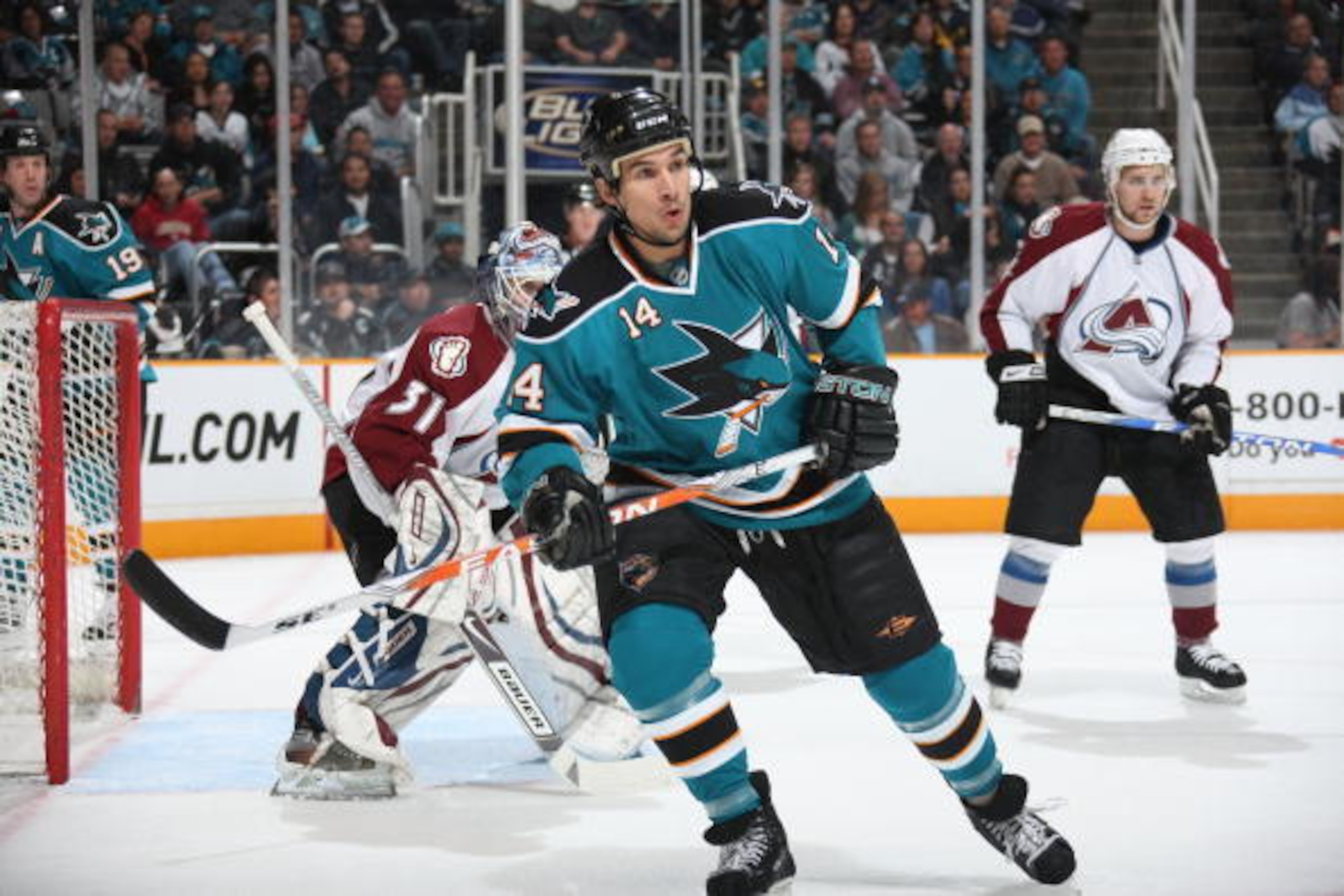 Joanthan Cheechoo had one glorious season before returning to reality.