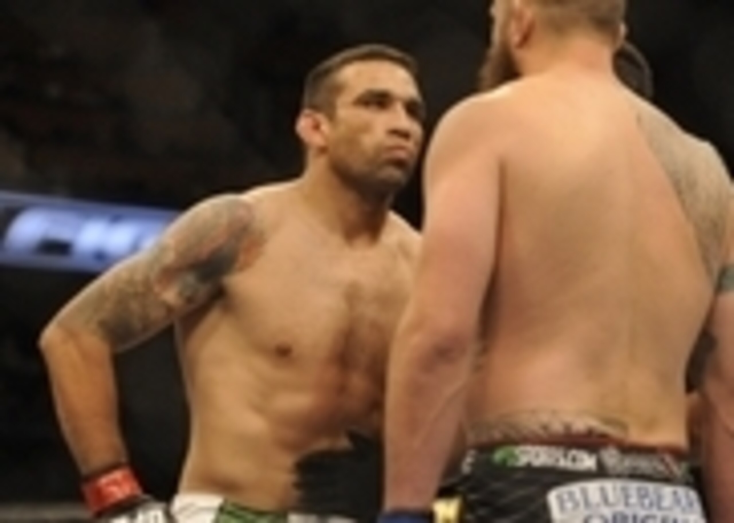Fabricio Werdum