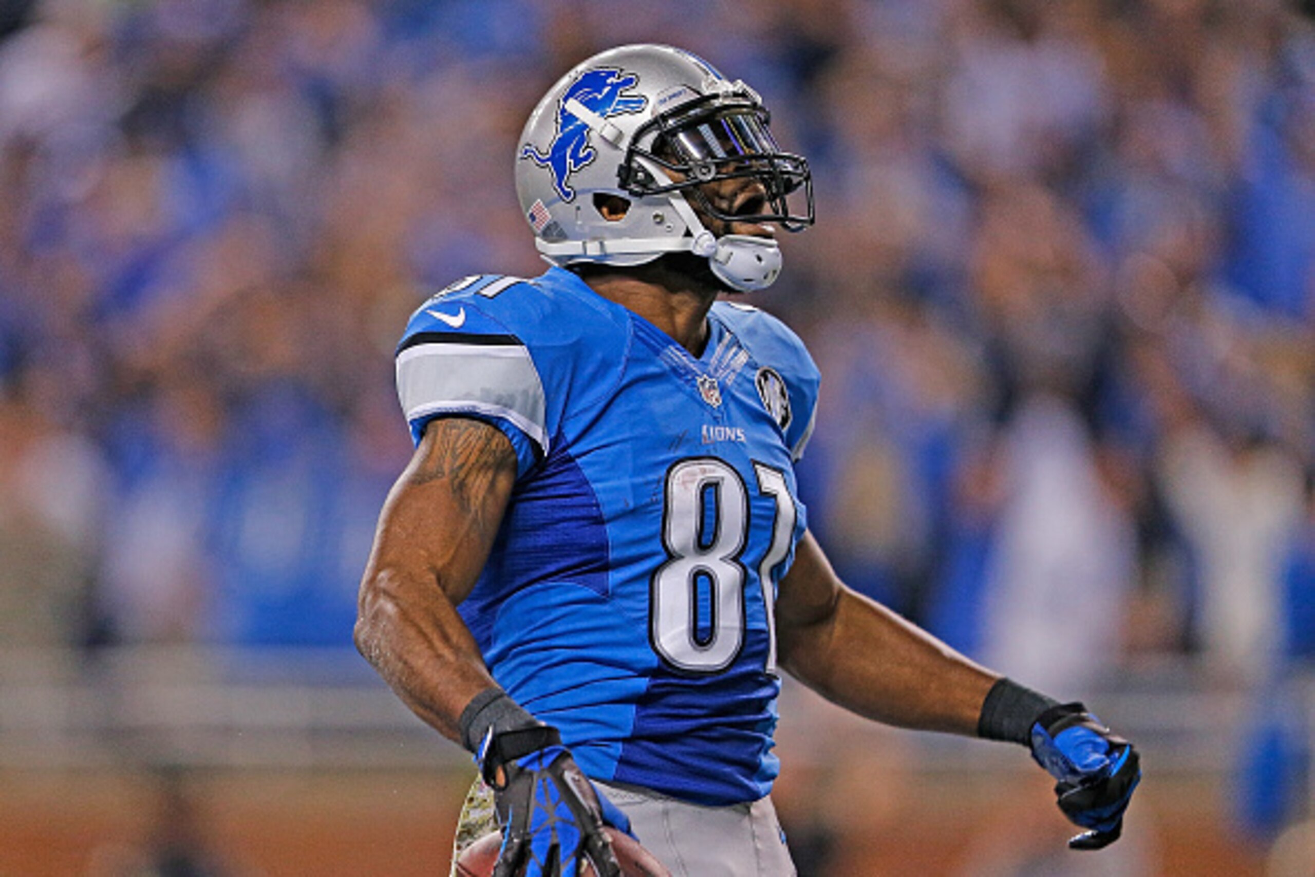 Lions WR Calvin Johnson
