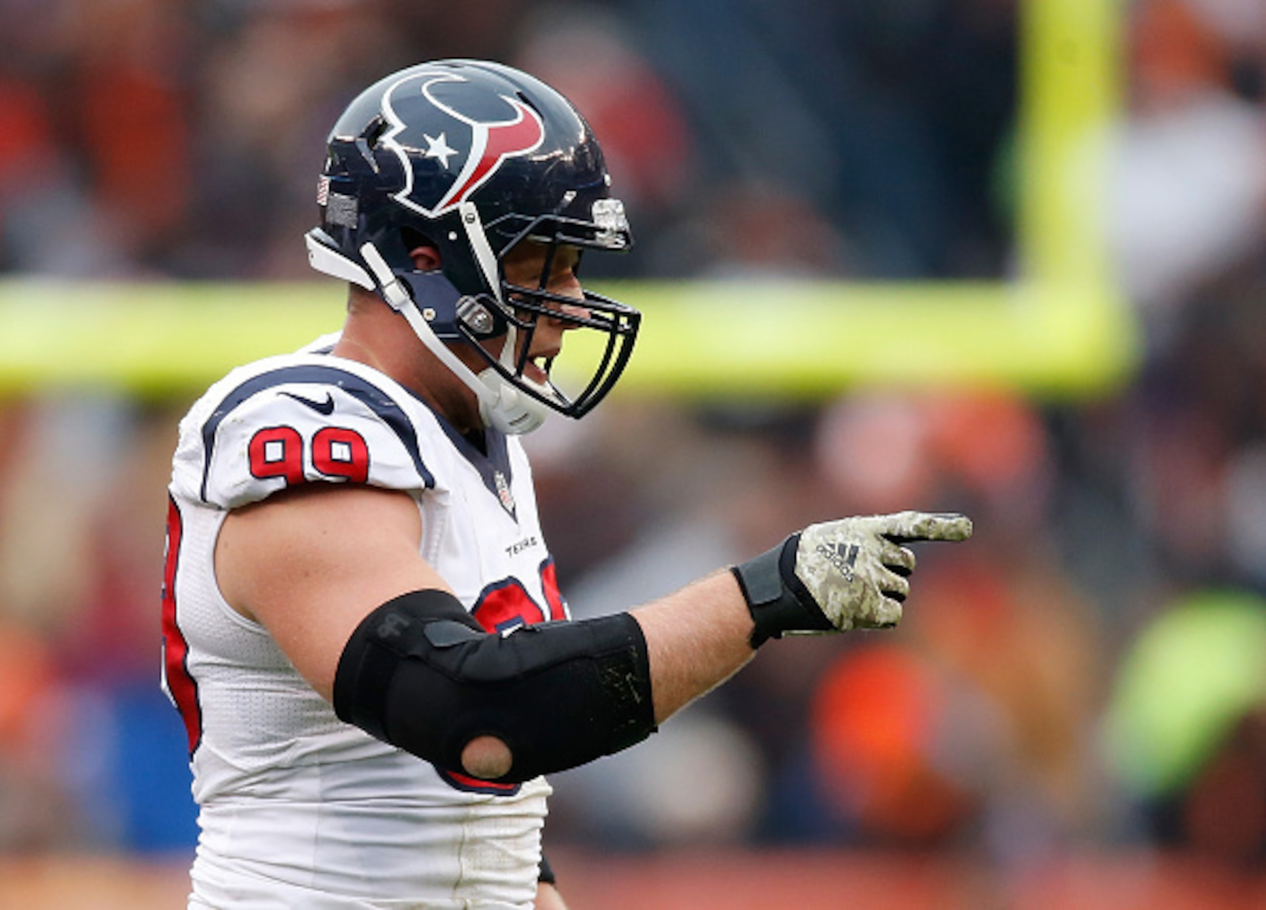 Texans DE J.J. Watt