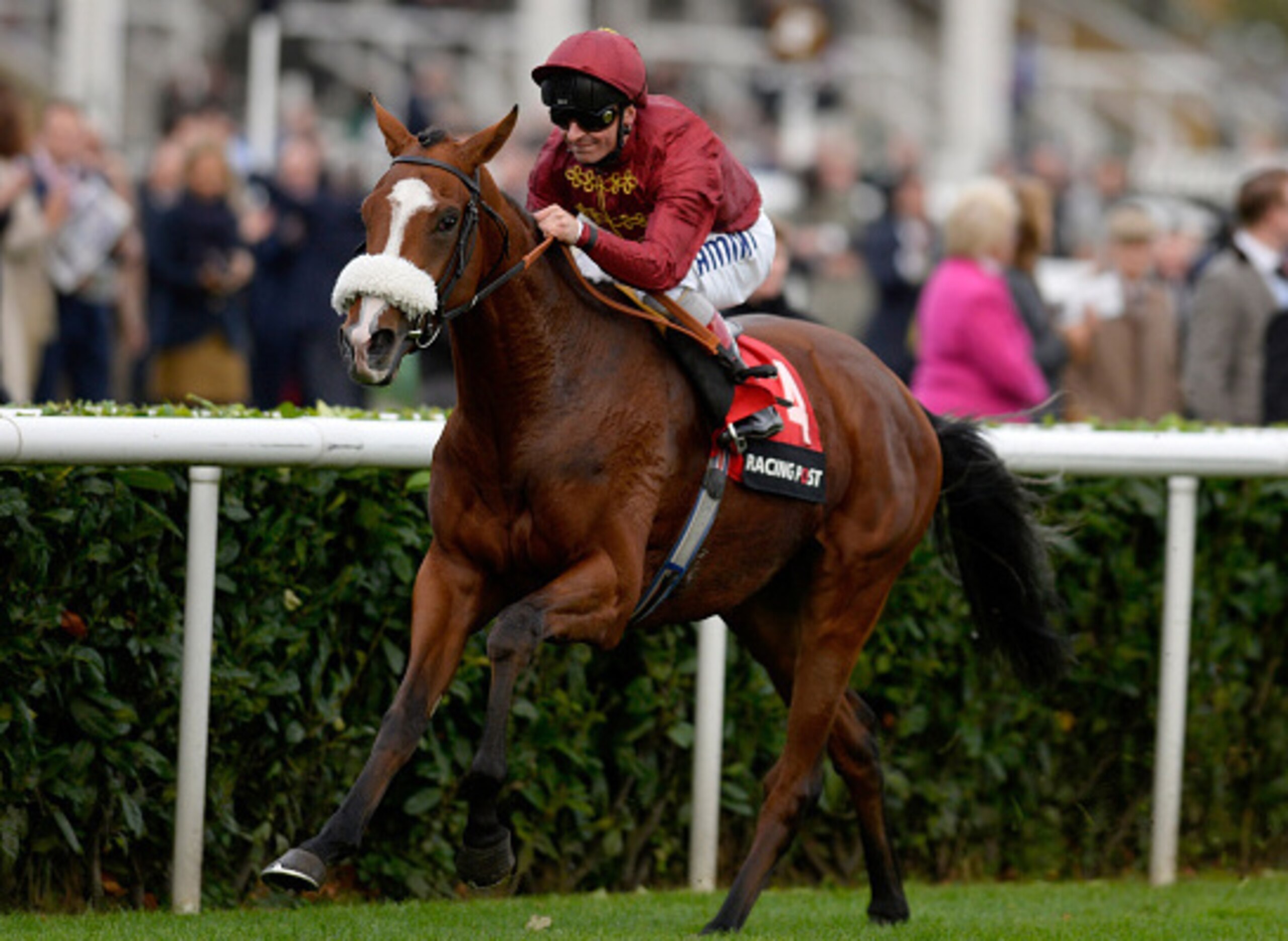 Elm Park will be aimed at the Epsom Derby