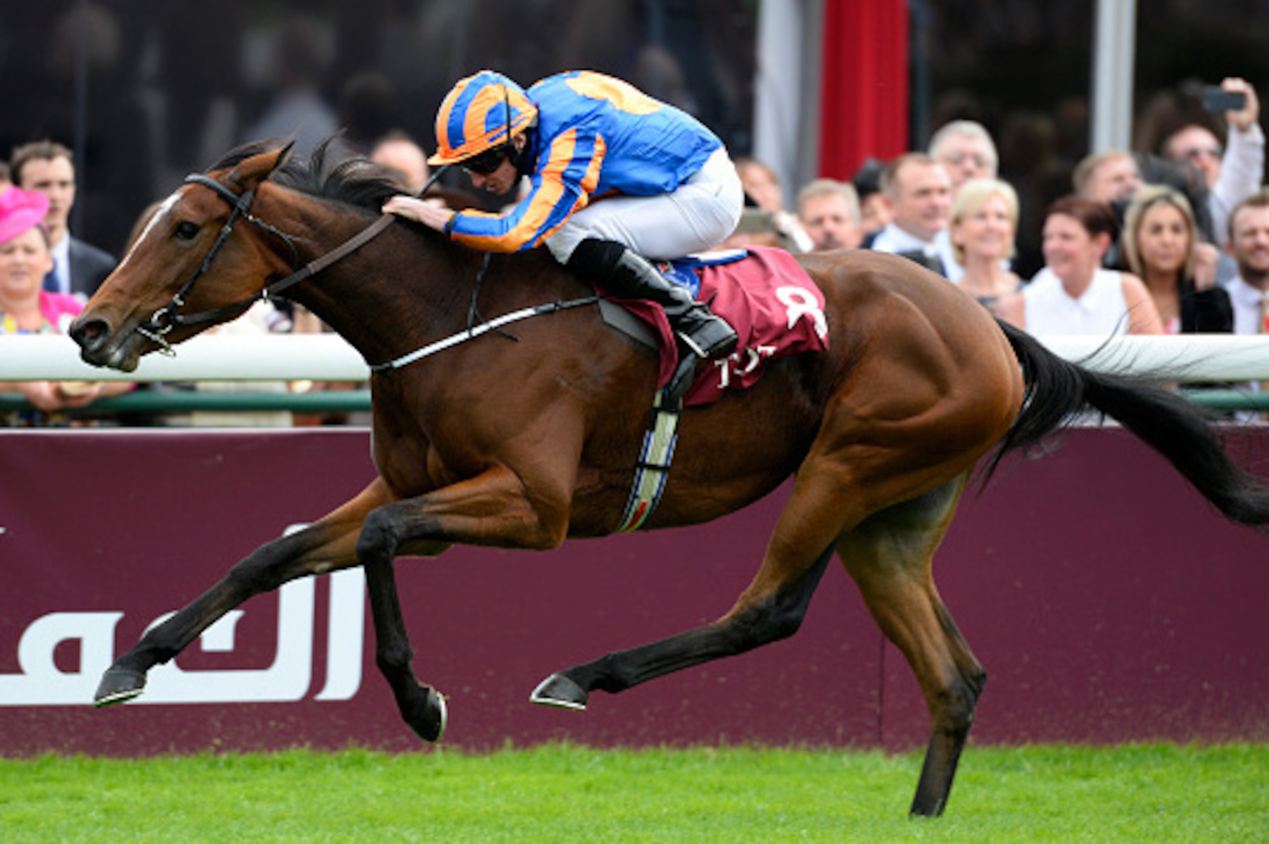 Found has the potential to go for a Classic double