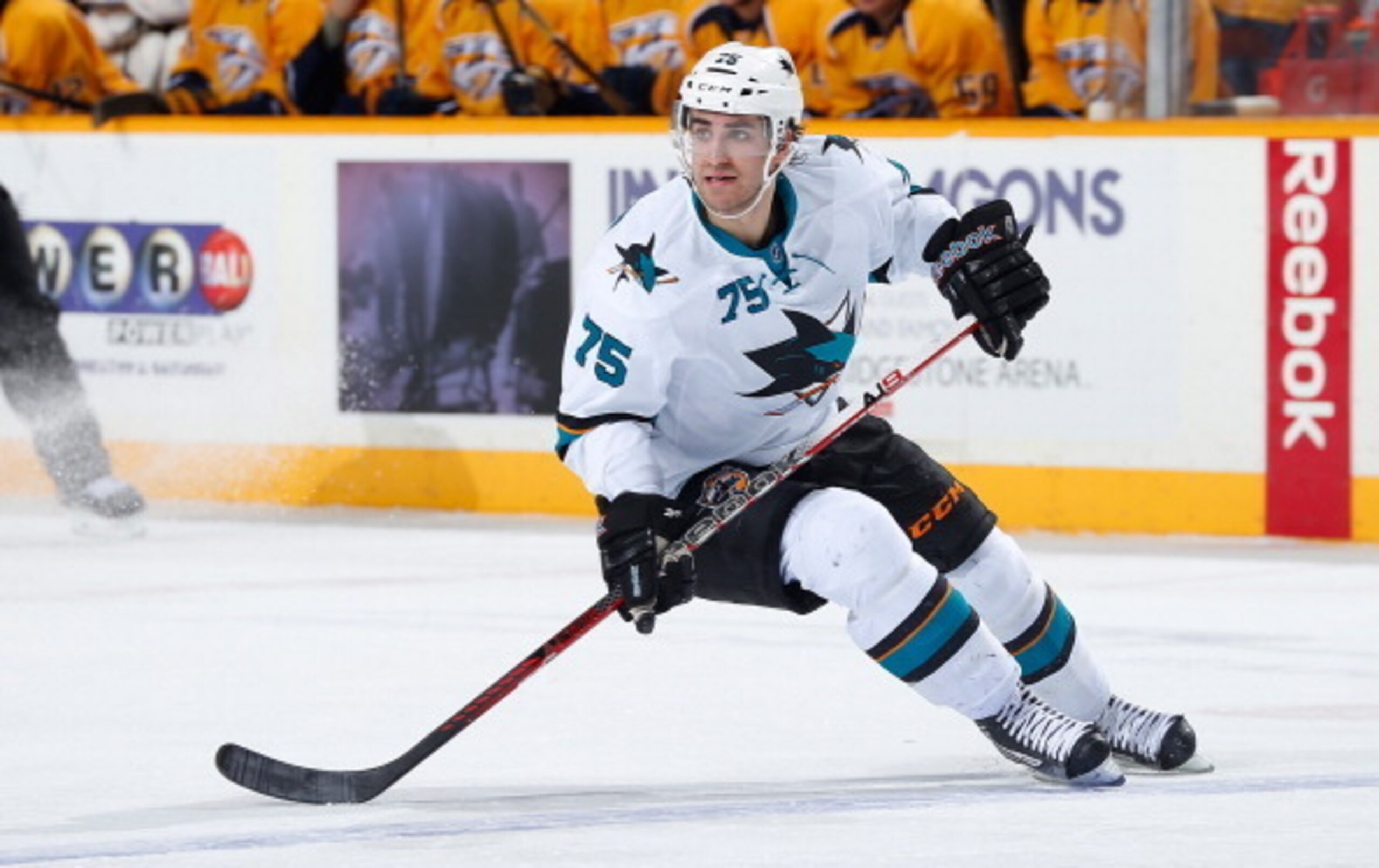 Freddie Hamilton is about a year away from full-time NHL duty.