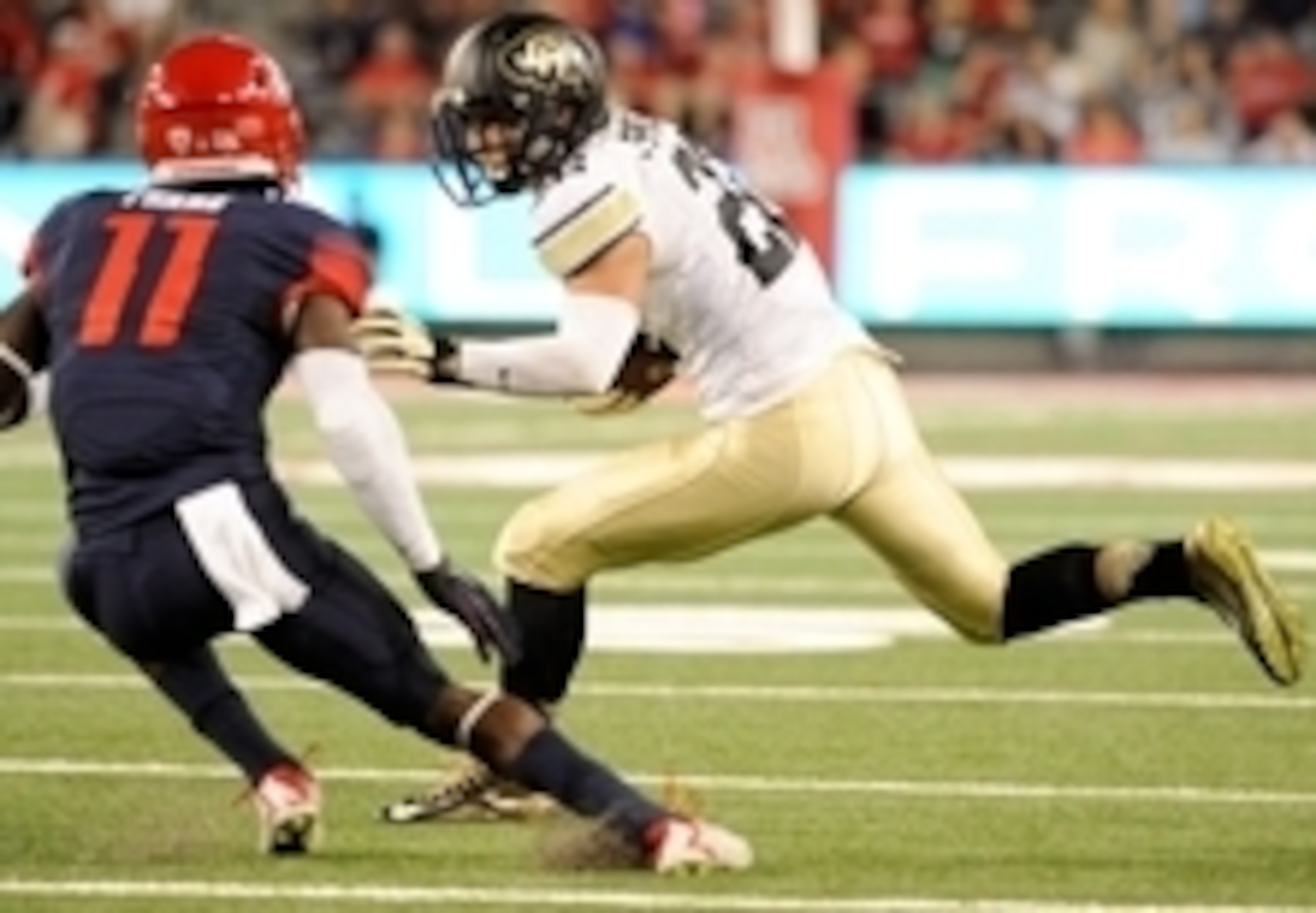 WR Nelson Spruce