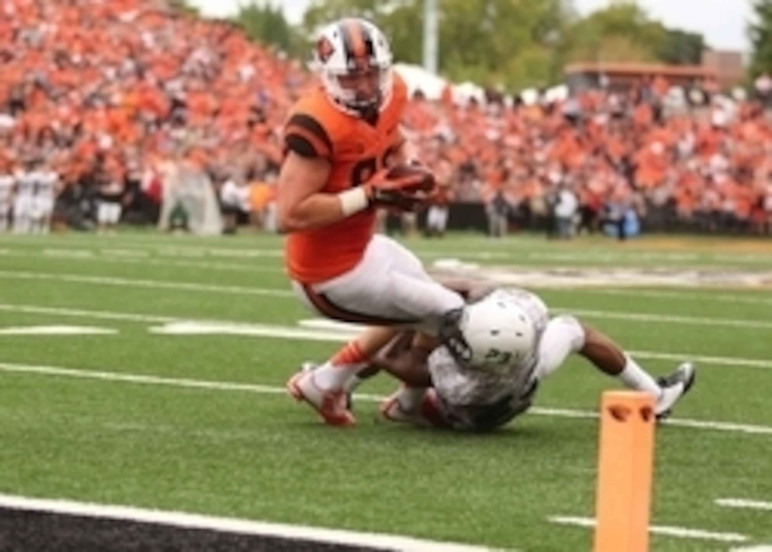 TE Connor Hamlett