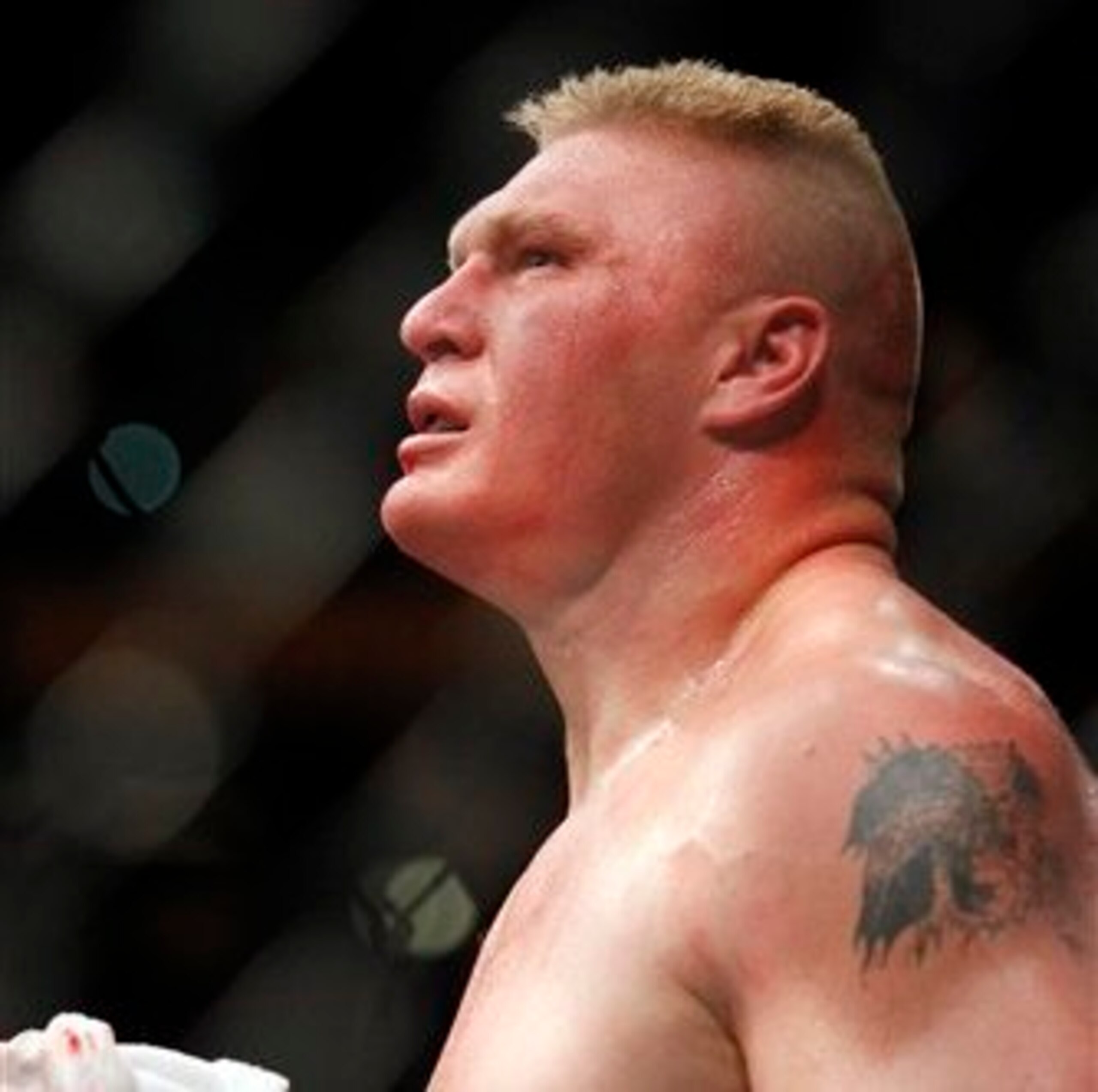 Lesnar at UFC 141