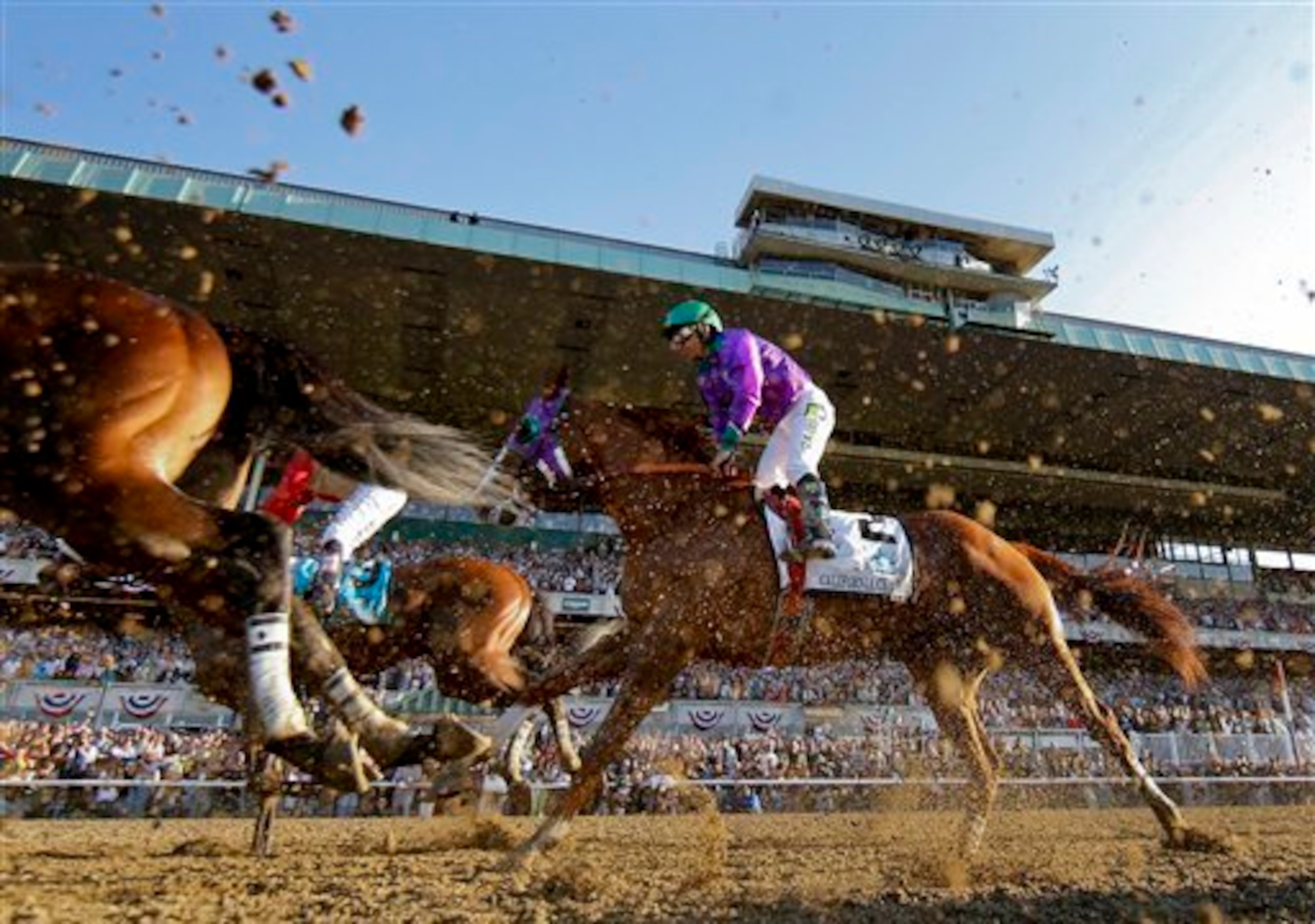 California Chrome