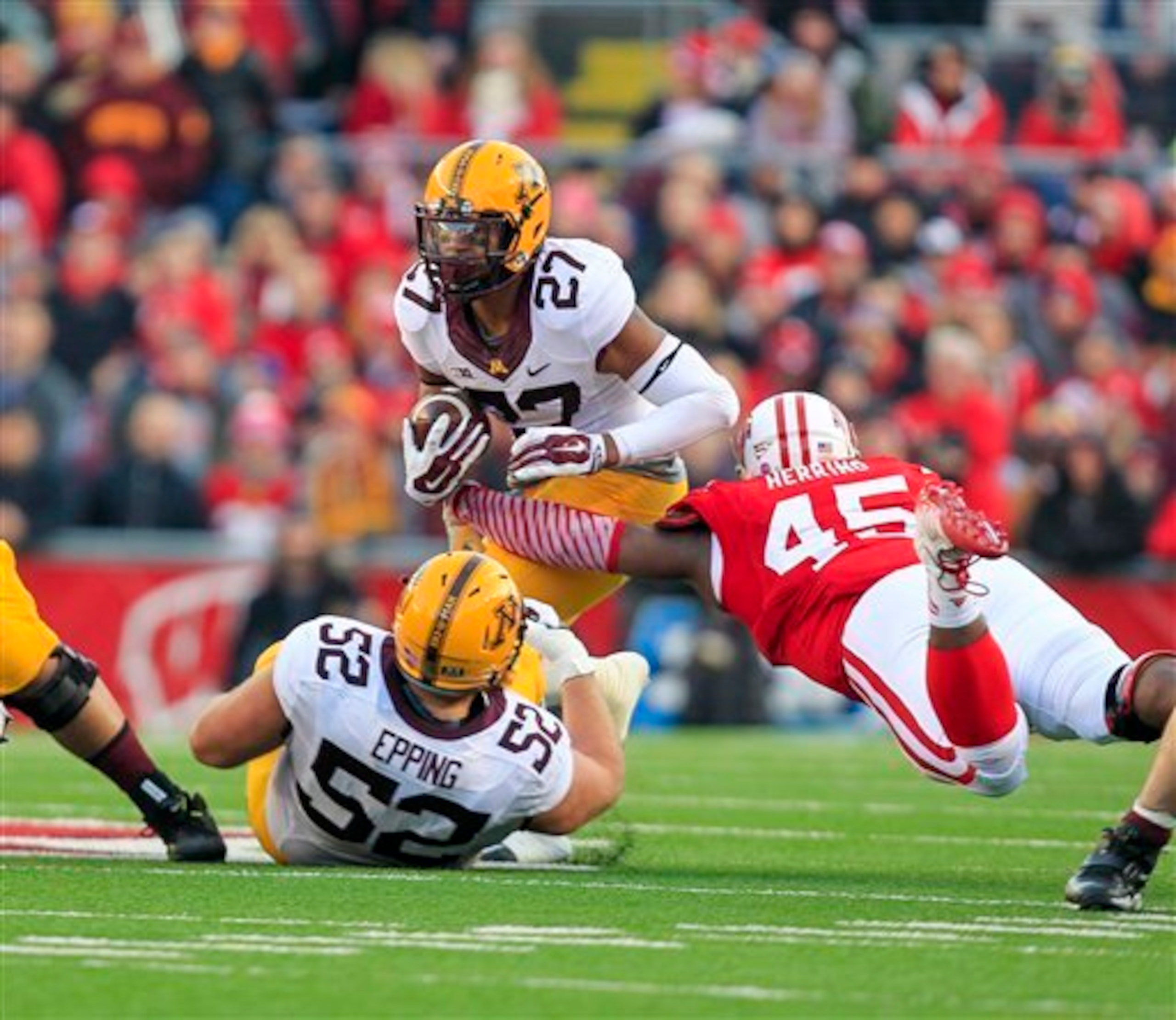 David Cobb had an excellent season in Minnesota's backfield.