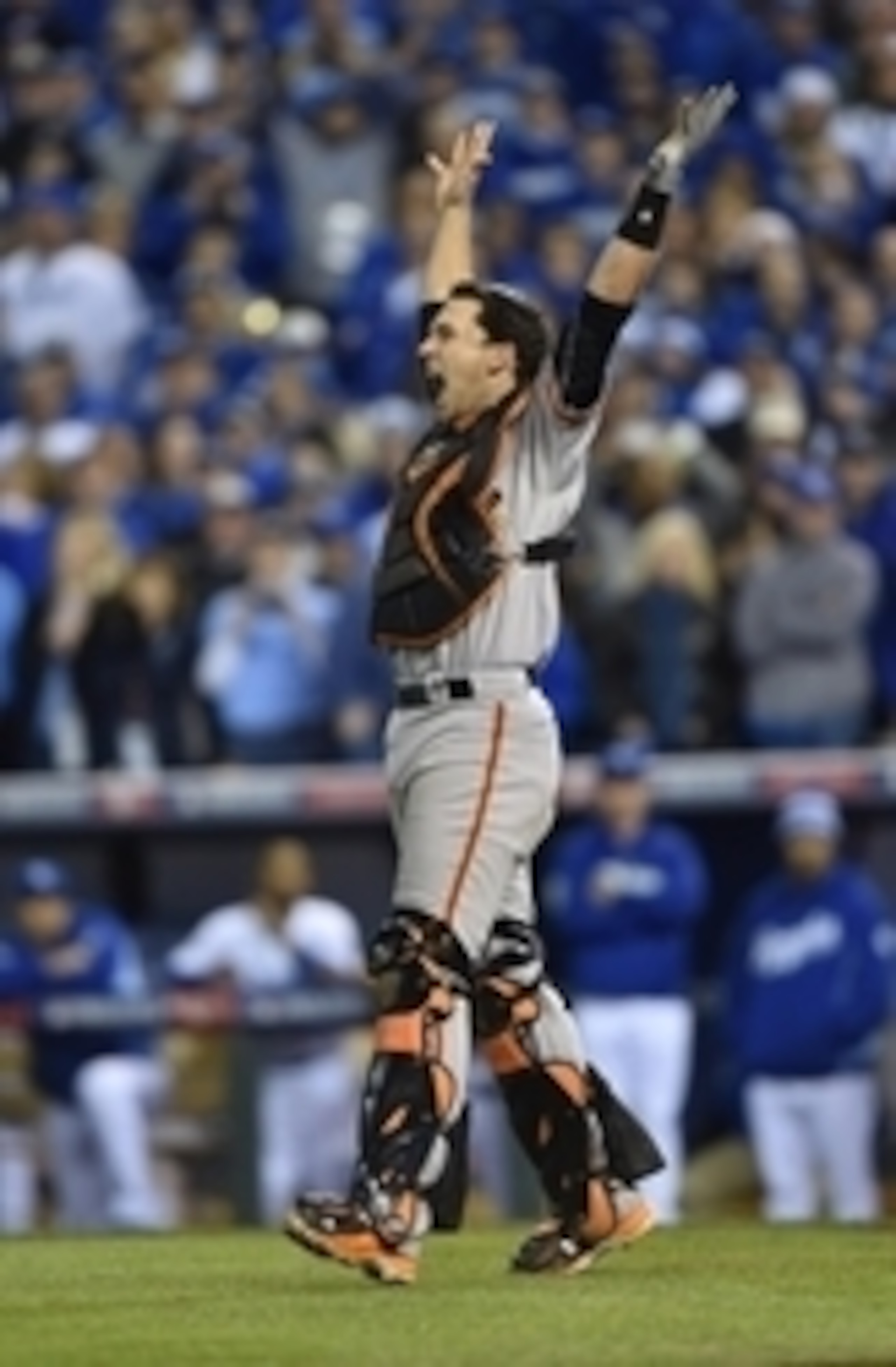 Buster Posey celebrates the Giants' World Series win.