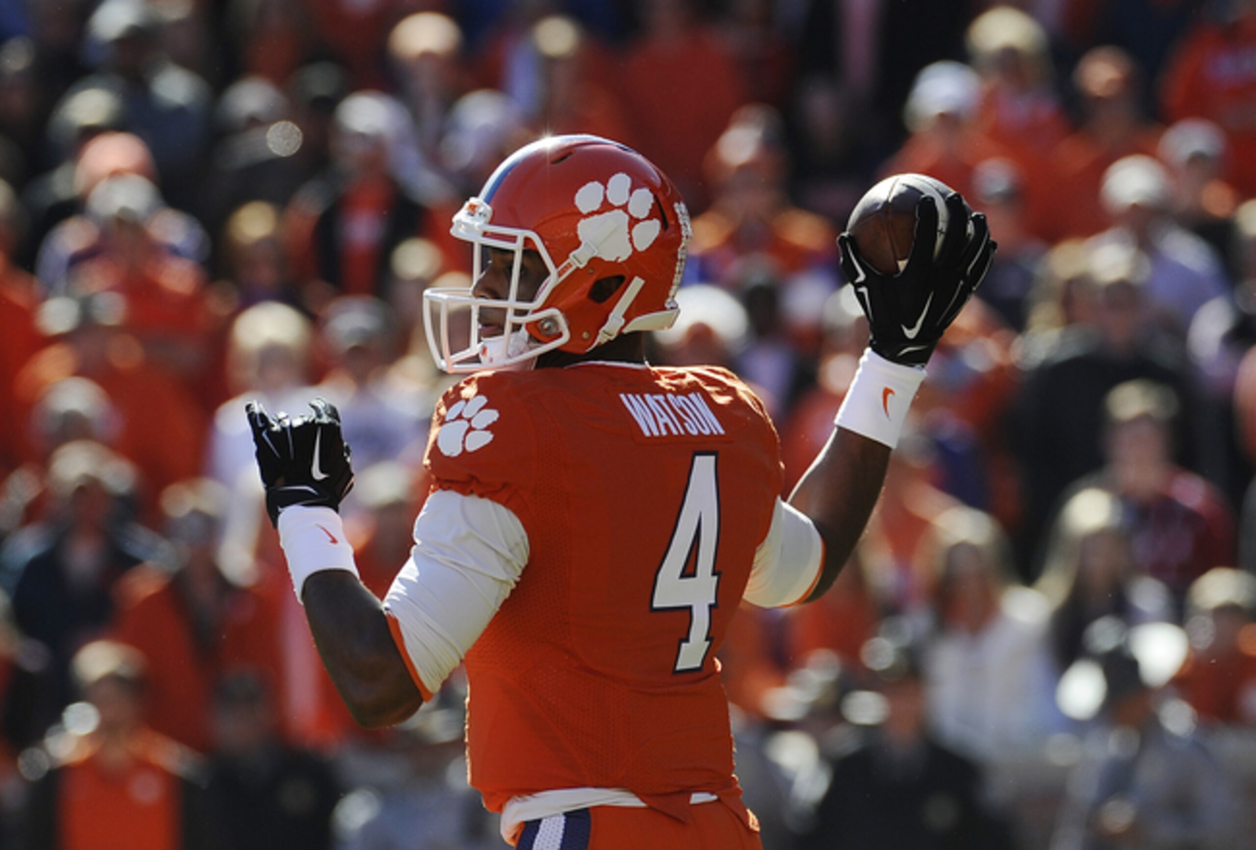 Deshaun Watson showed Clemson fans why he is such a highly-prized quarterback.