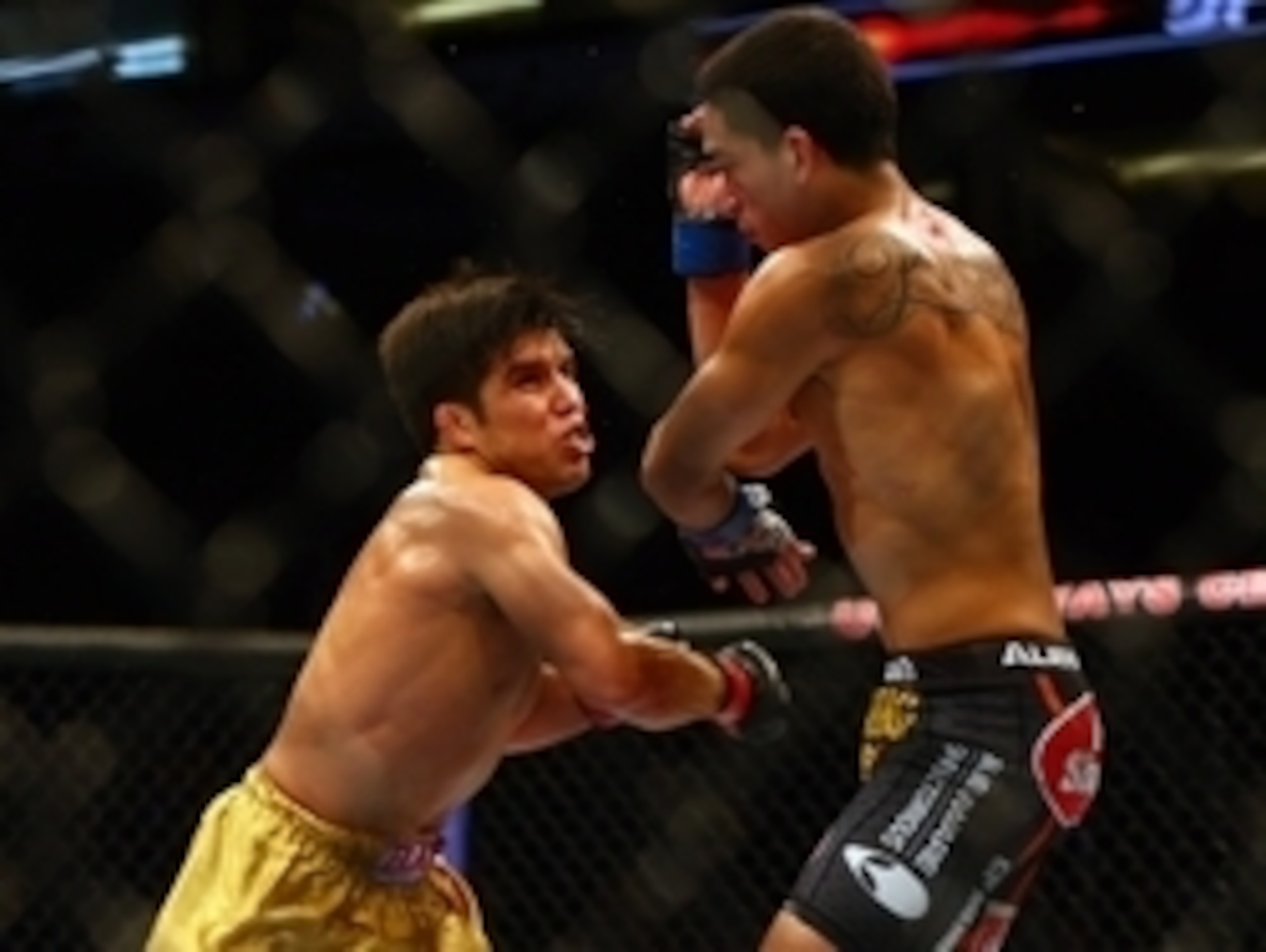 December 13, 2014; Phoenix, AZ, USA; Henry Cejudo punches Dustin Kimura during UFC Fight Night at US Airways Center. Mandatory Credit: Mark J. Rebilas-USA TODAY Sports