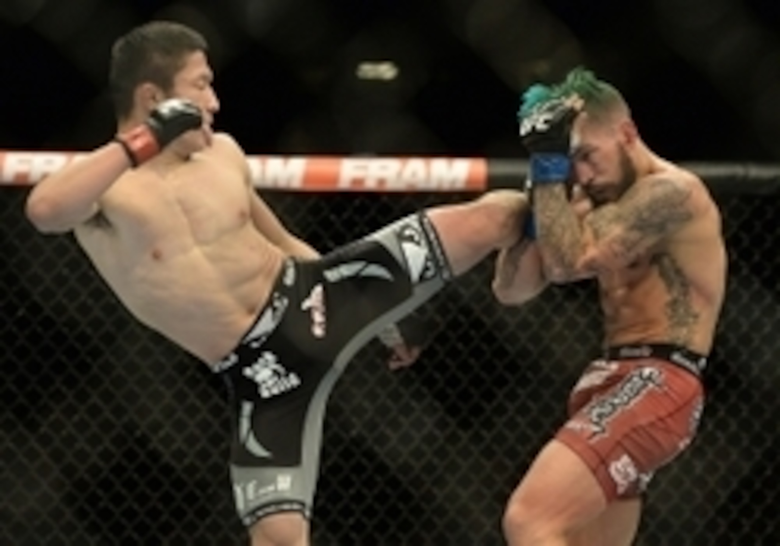 Horiguchi outpointed Gaudinot in their main card bout at UFC 182.