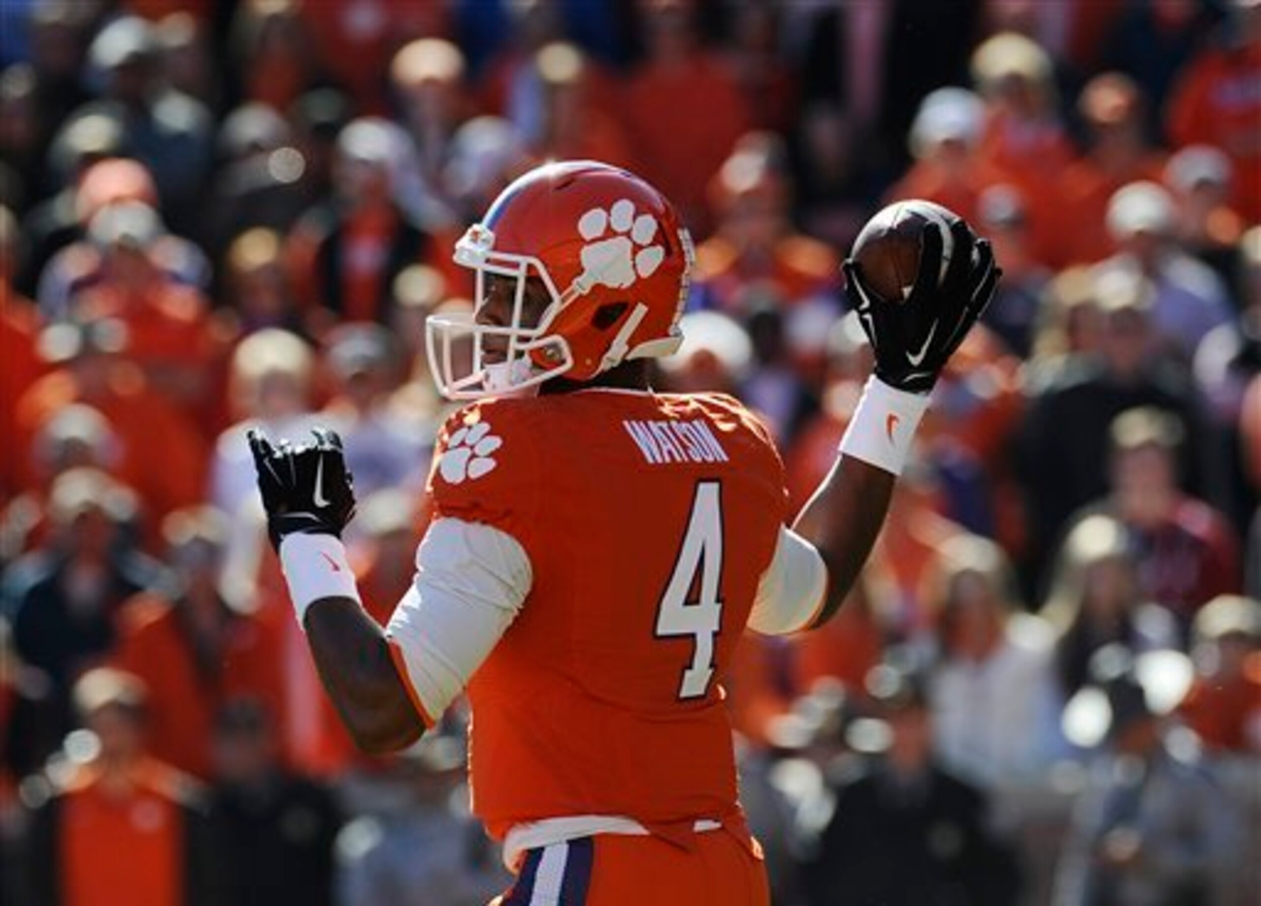 Deshaun Watson was one of the nation's top freshmen this fall.