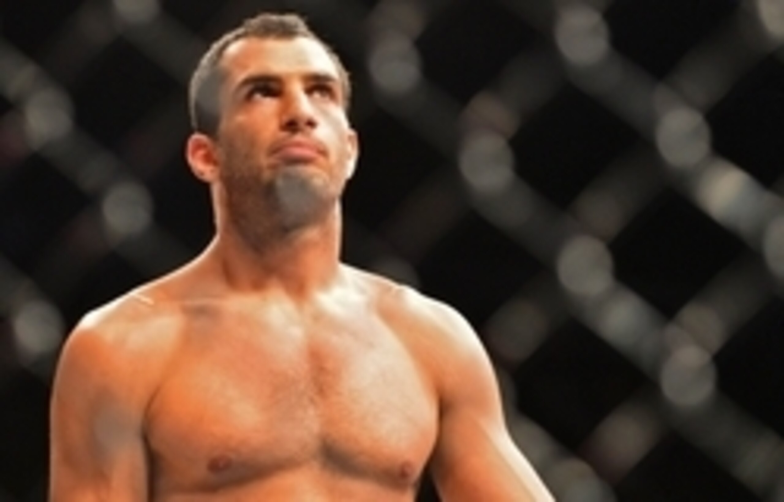 Gegard Mousasi