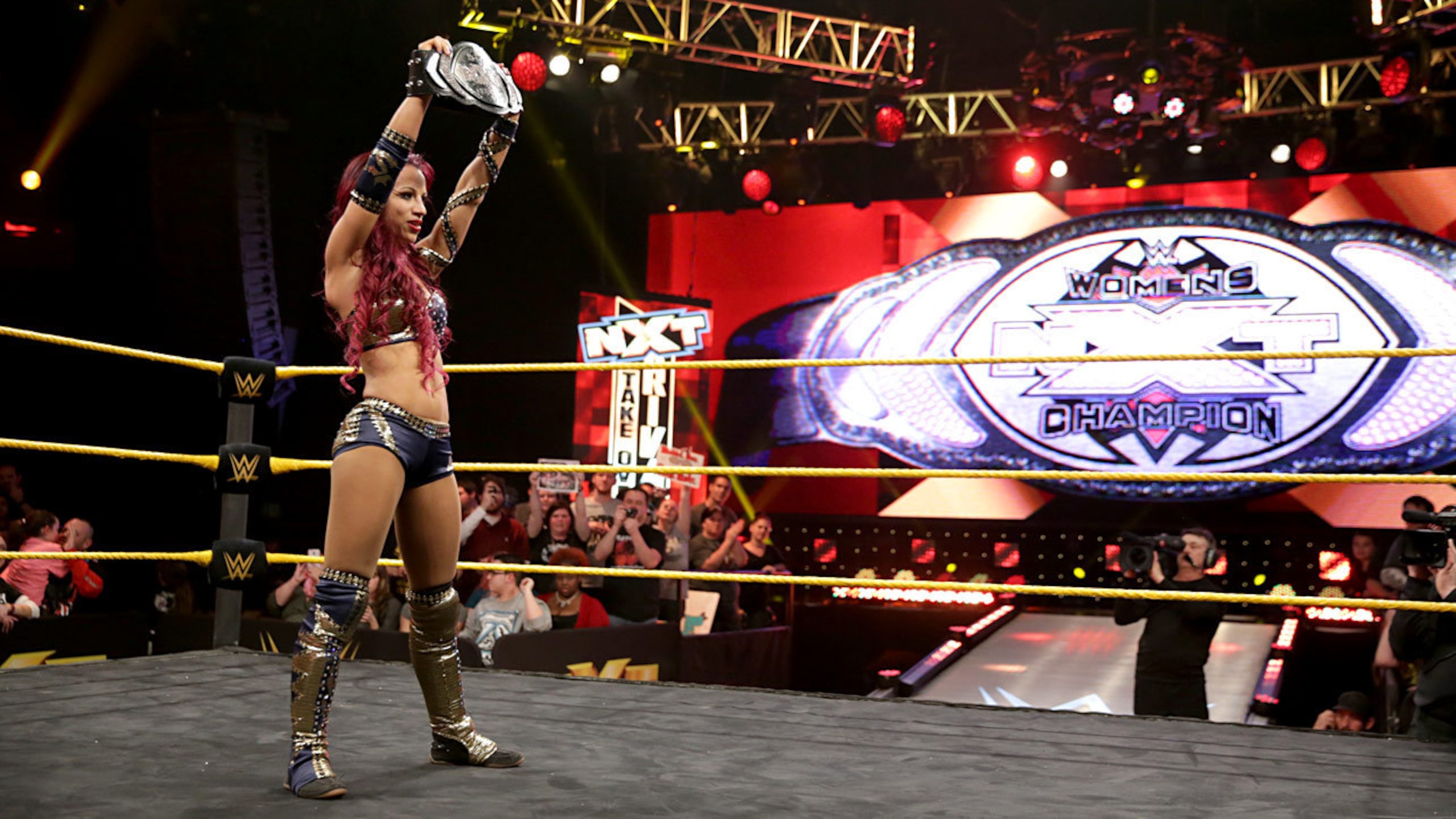 Sasha Banks stands victorious after winning the NXT Divas Championship