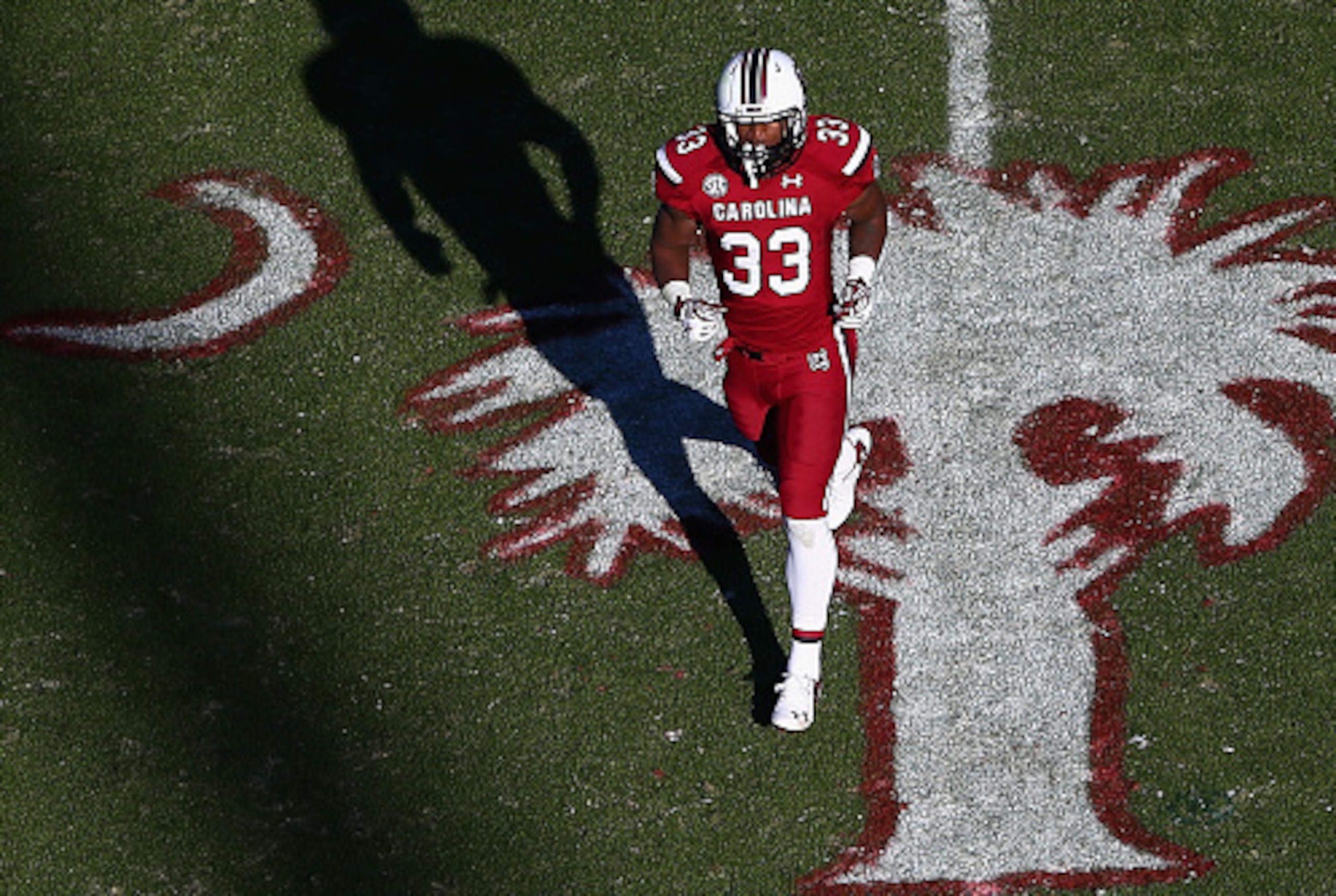 South Carolina RB David Williams