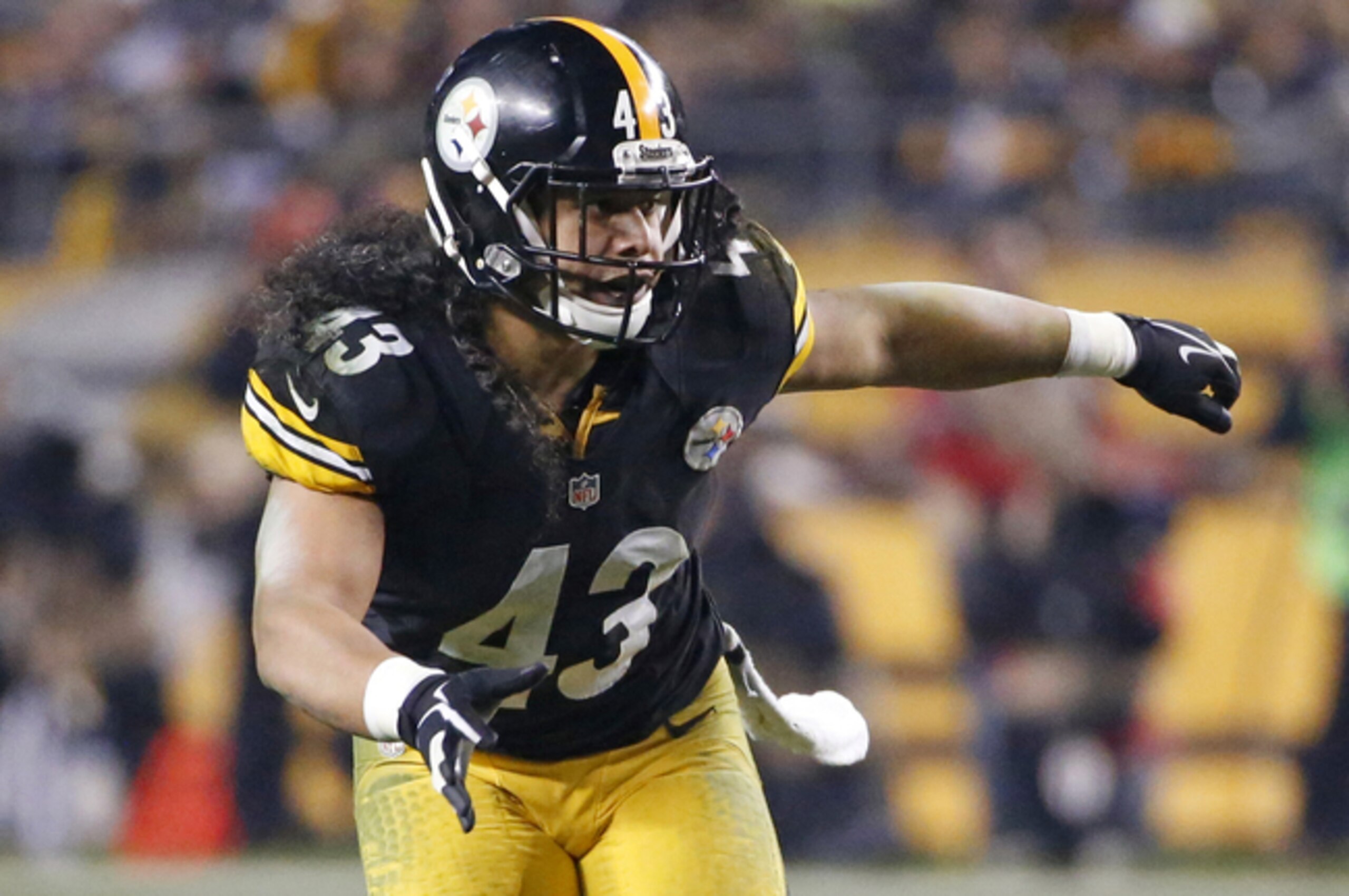 Troy Polamalu could be a salary-cap casualty. Troy Polamalu could be a salary-cap casualty.