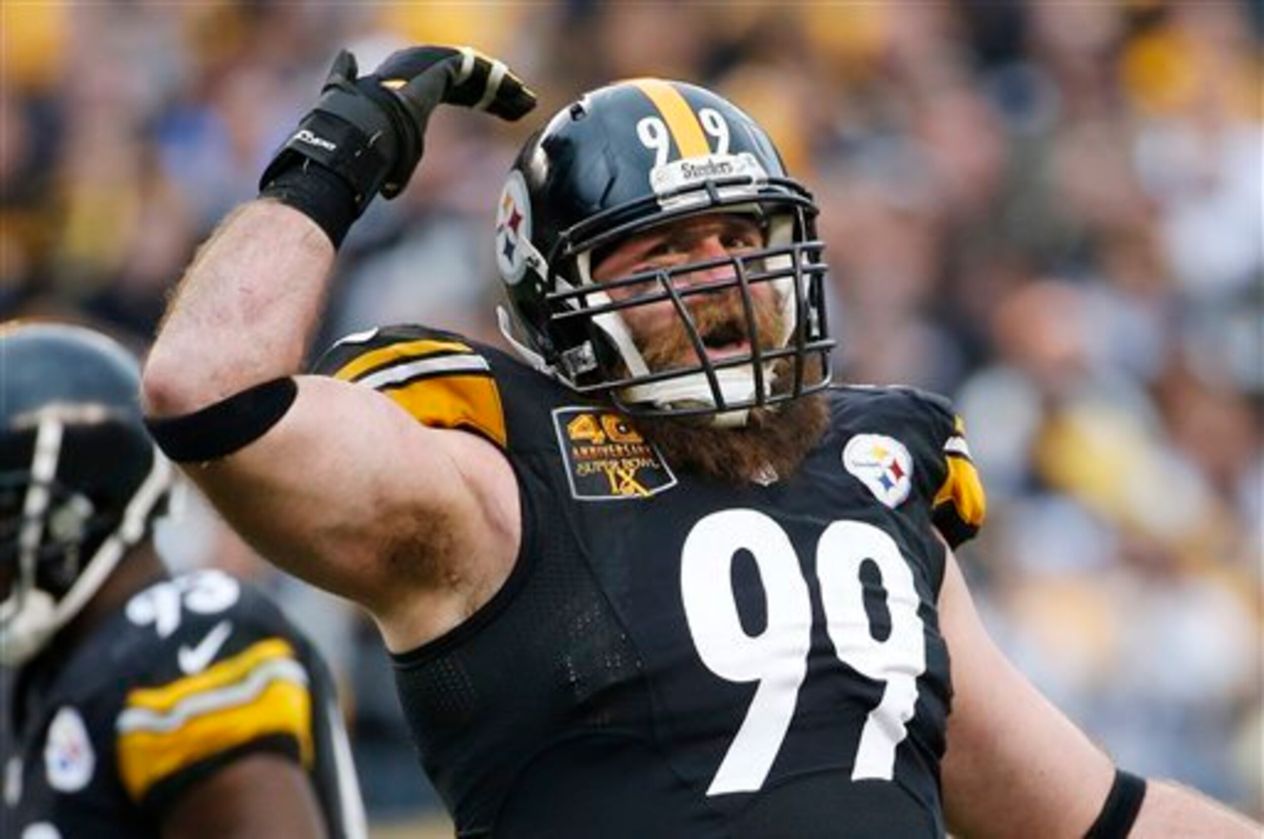 If healthy, Brett Keisel provides valuable depth at defensive end.