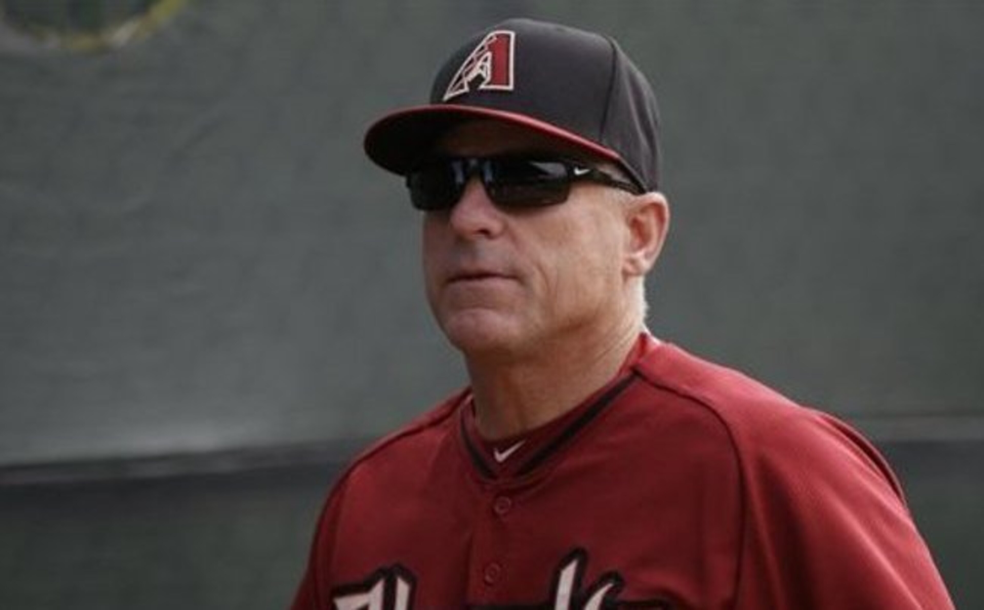 The Diamondbacks have new leadership, but new manager Chip Hale has a lot of work to do to build a solid core for the future.