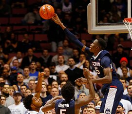 Brimah has good size and championship pedigree.
