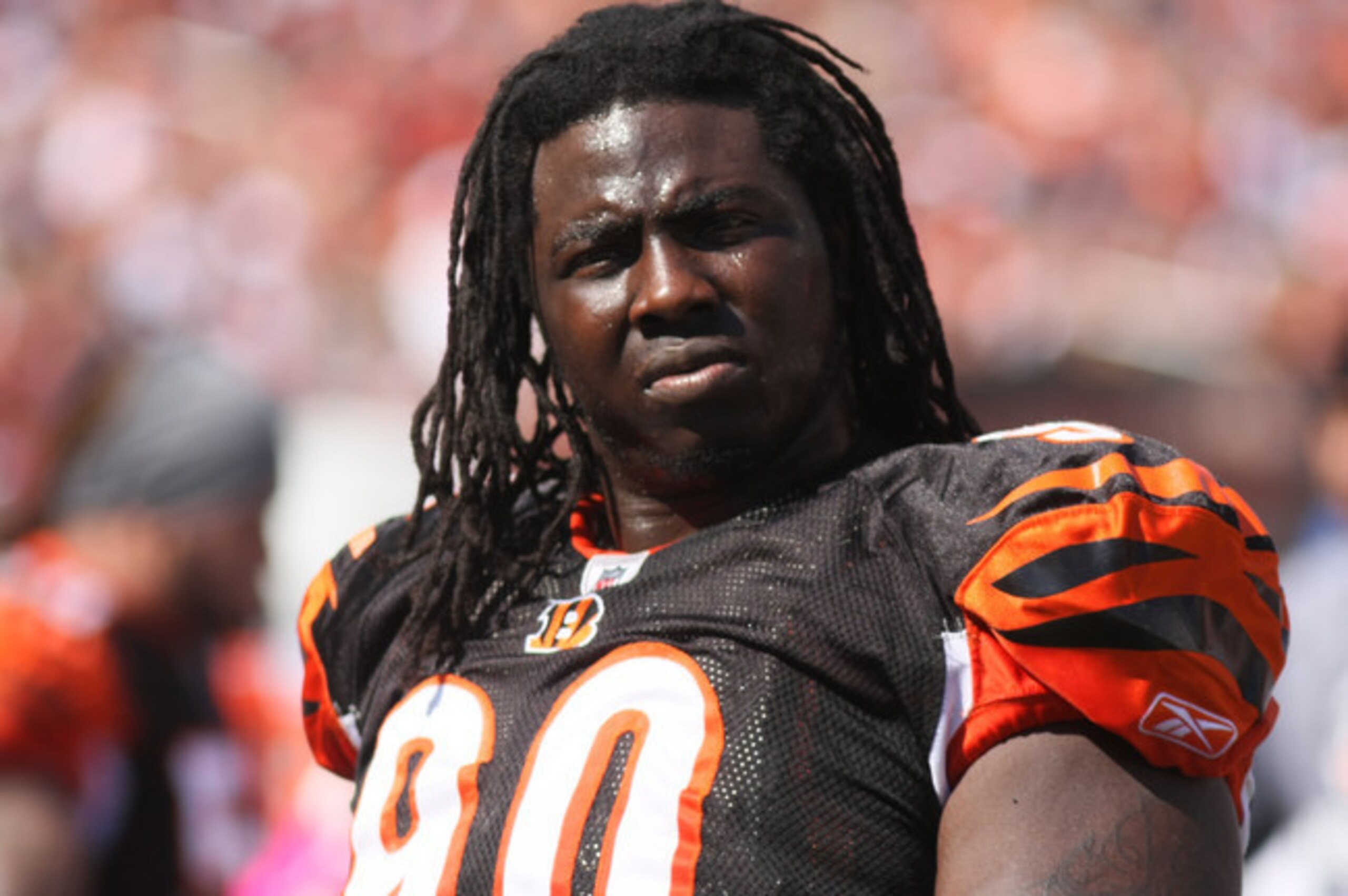Pat Sims could be a candidate to return to the Bengals. Pat Sims could be a candidate to return to the Bengals.