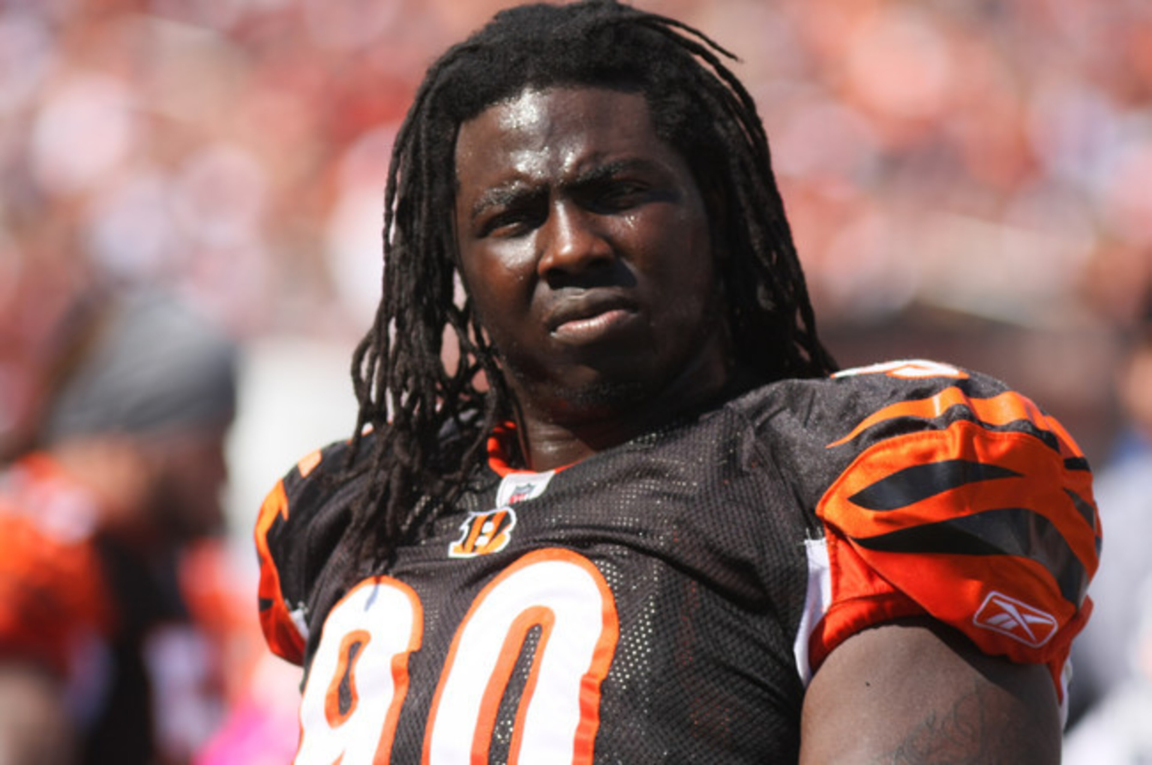 Pat Sims could be a candidate to return to the Bengals.