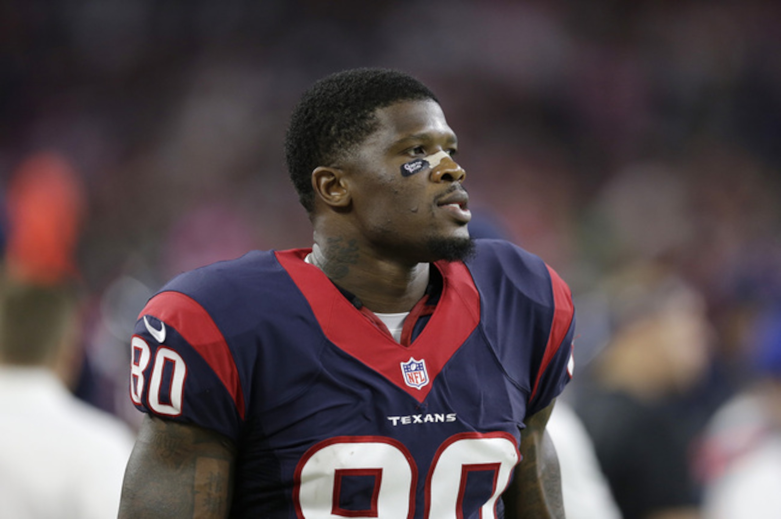 Andre Johnson