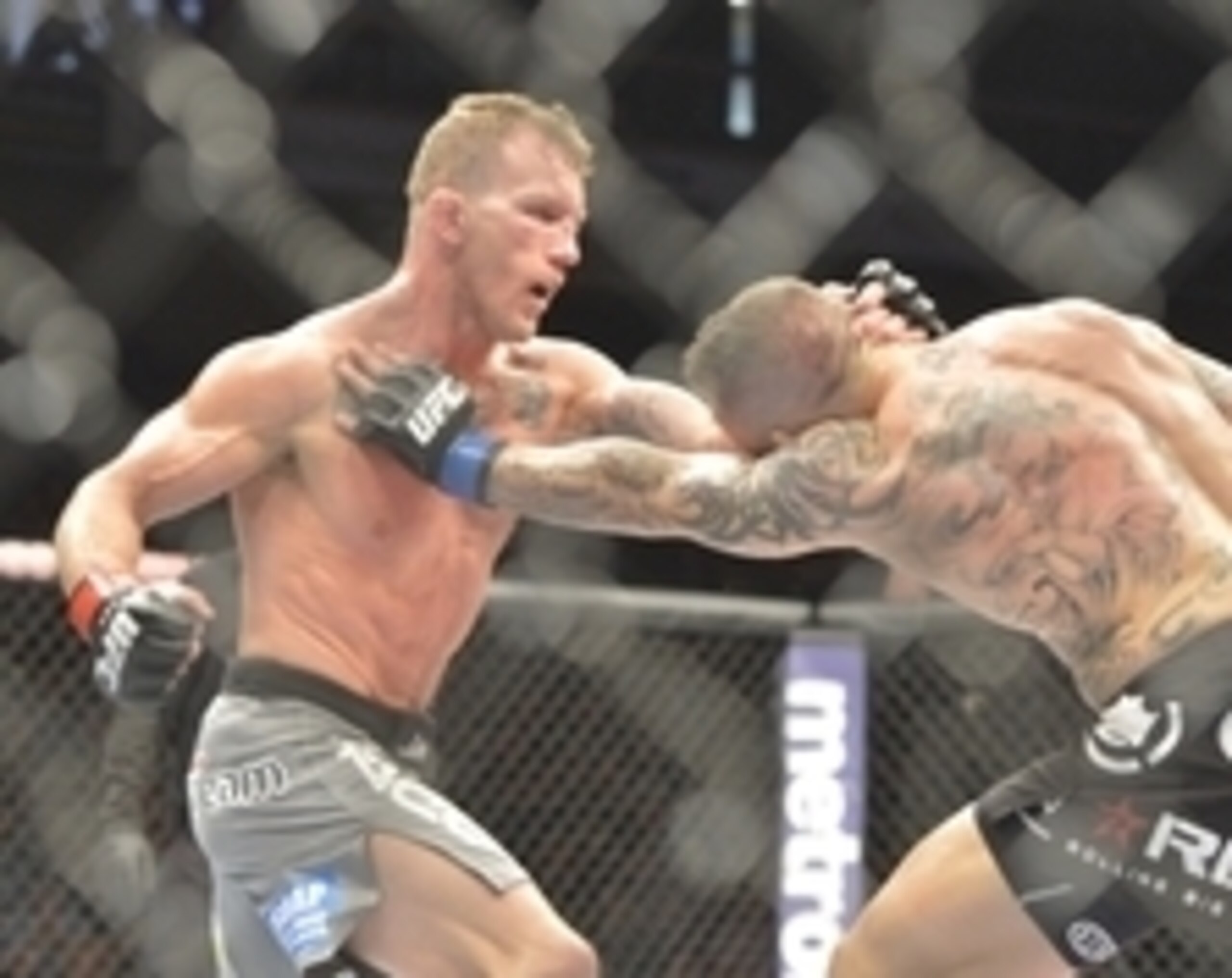 Gray Maynard