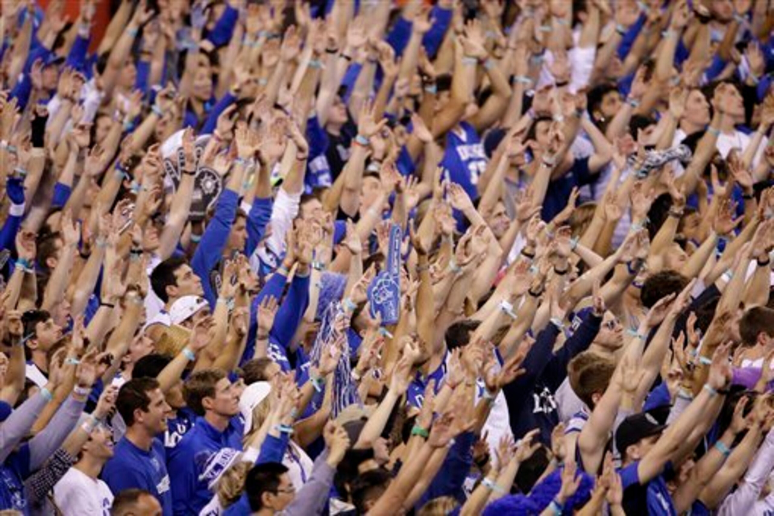 Sports fans are numerous, but come in all different forms.