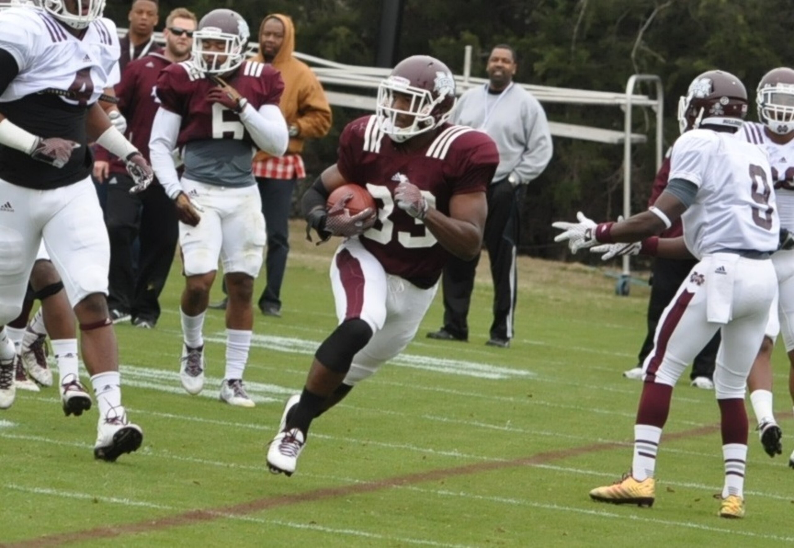 Mississippi State RB Dontavian Lee