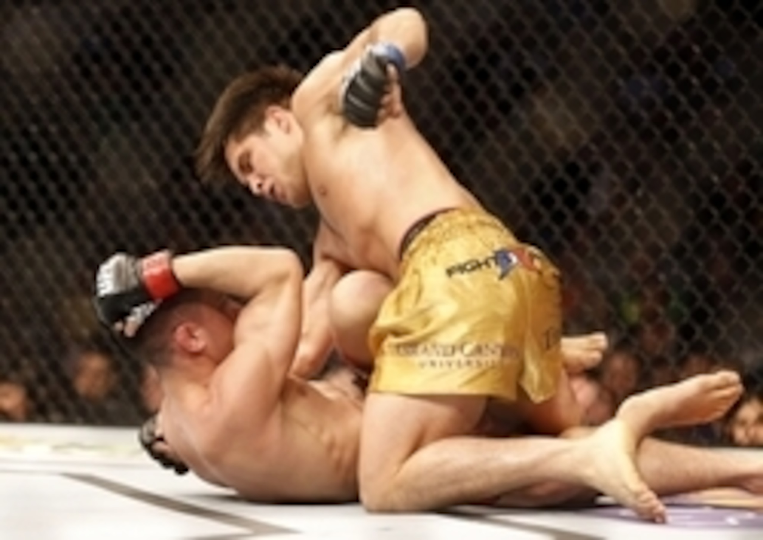 Henry Cejudo's Olympic pedigree brings intrigue into the Octagon. Henry Cejudo's Olympic pedigree brings intrigue into the Octagon.