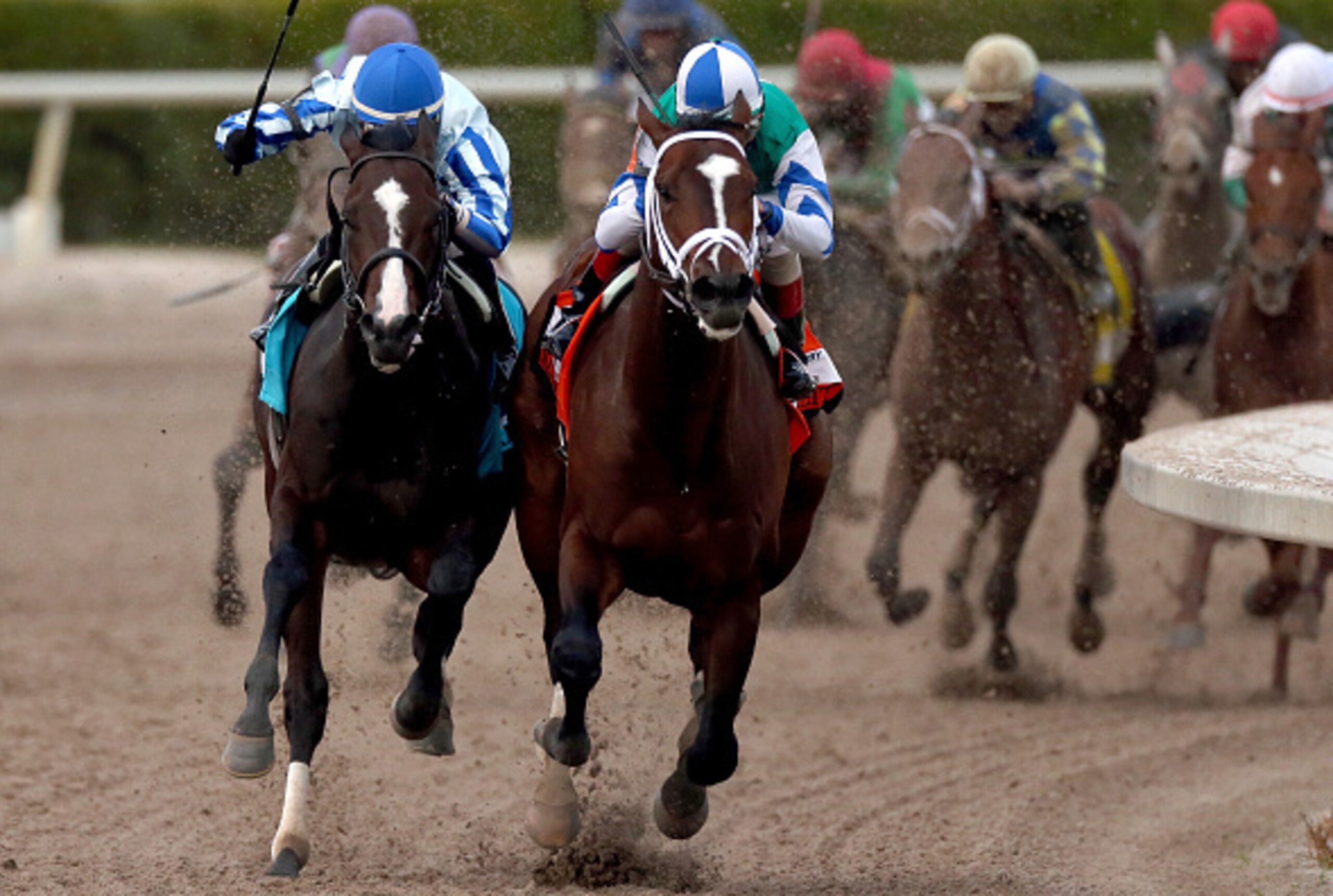 Lightly raced Materiality (right) won the Florida Derby.