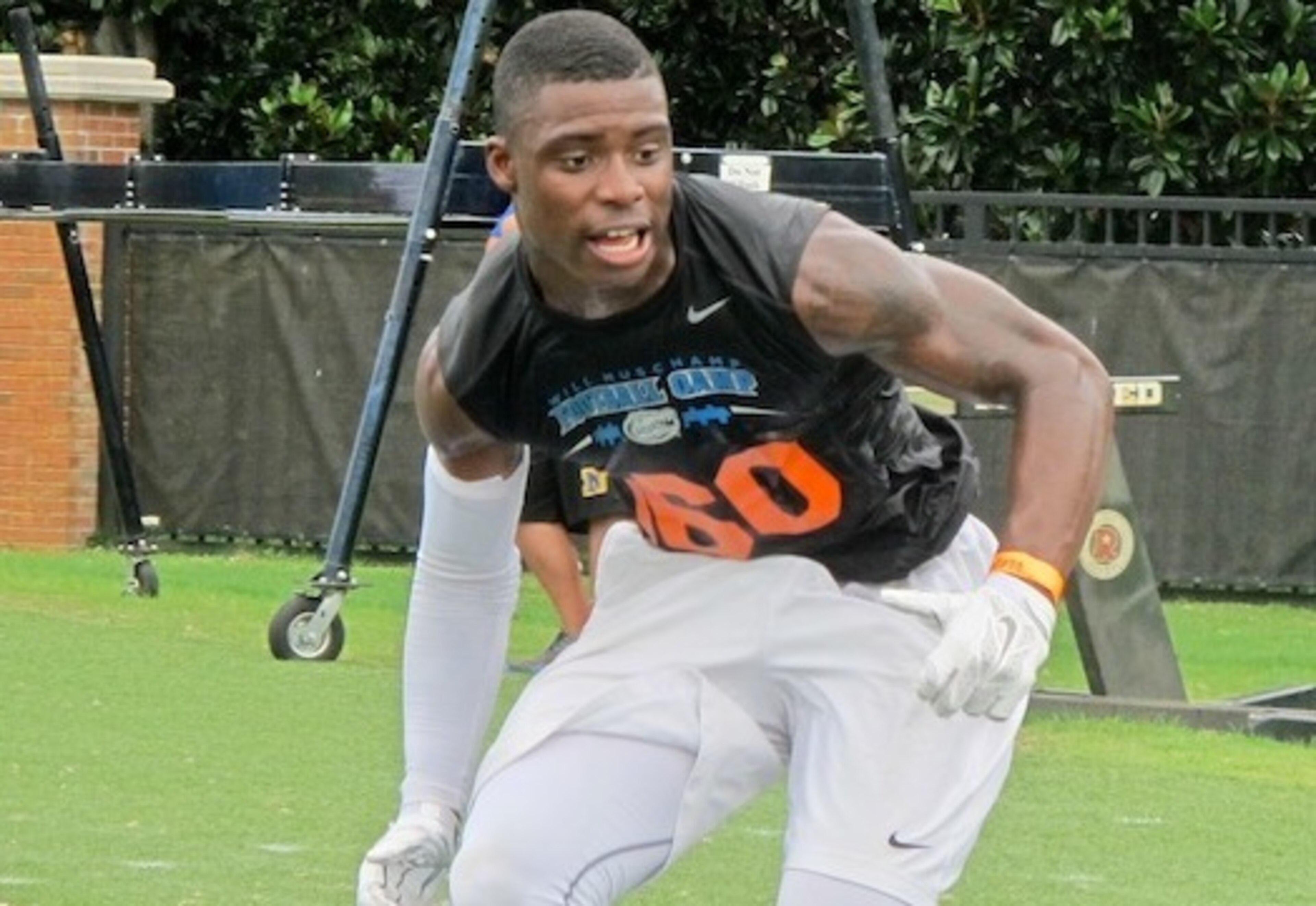 DB Chauncey Gardner