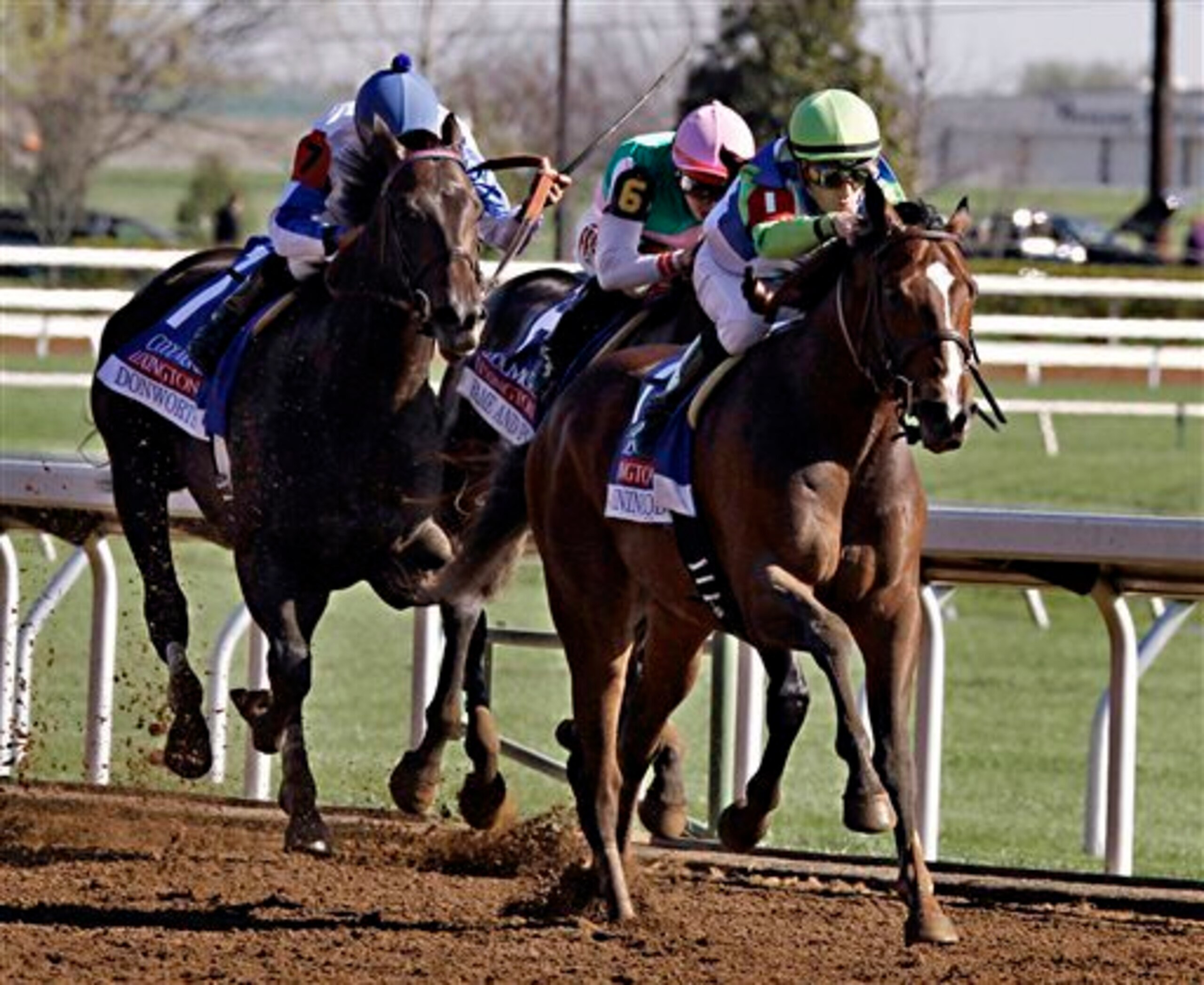 Divining Rod enters the Preakness off a victory in the Coolmore Lexington.
