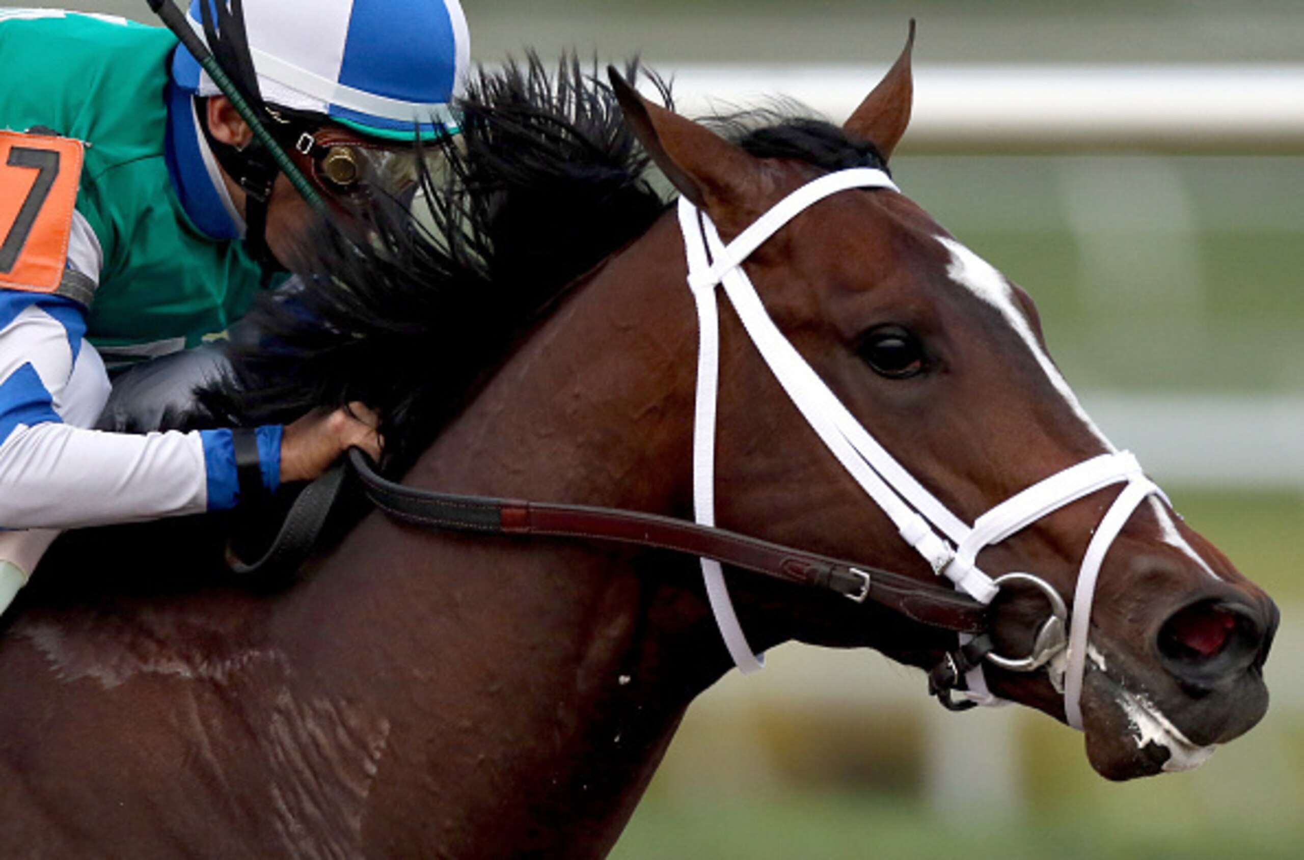 Florida Derby (G1) winner Materiality had a rough trip in the Kentucky Derby.