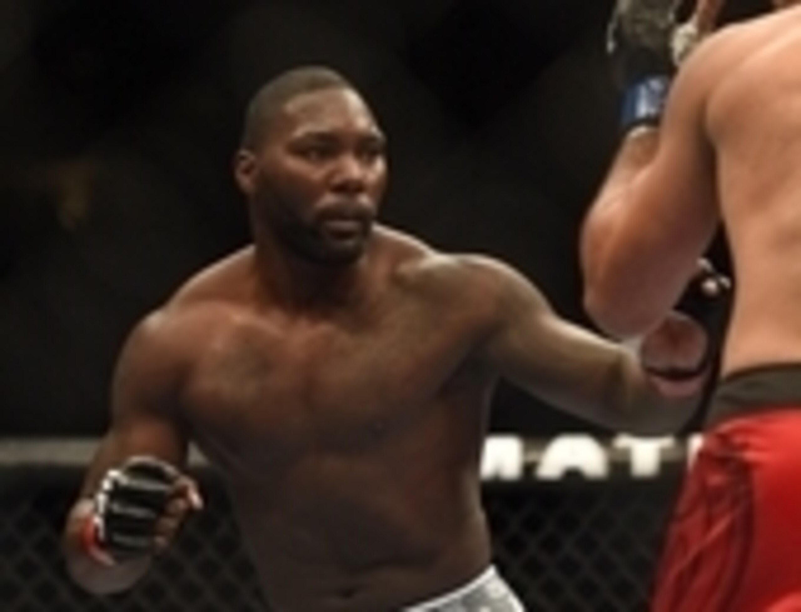 Anthony Johnson at UFC on Fox 12