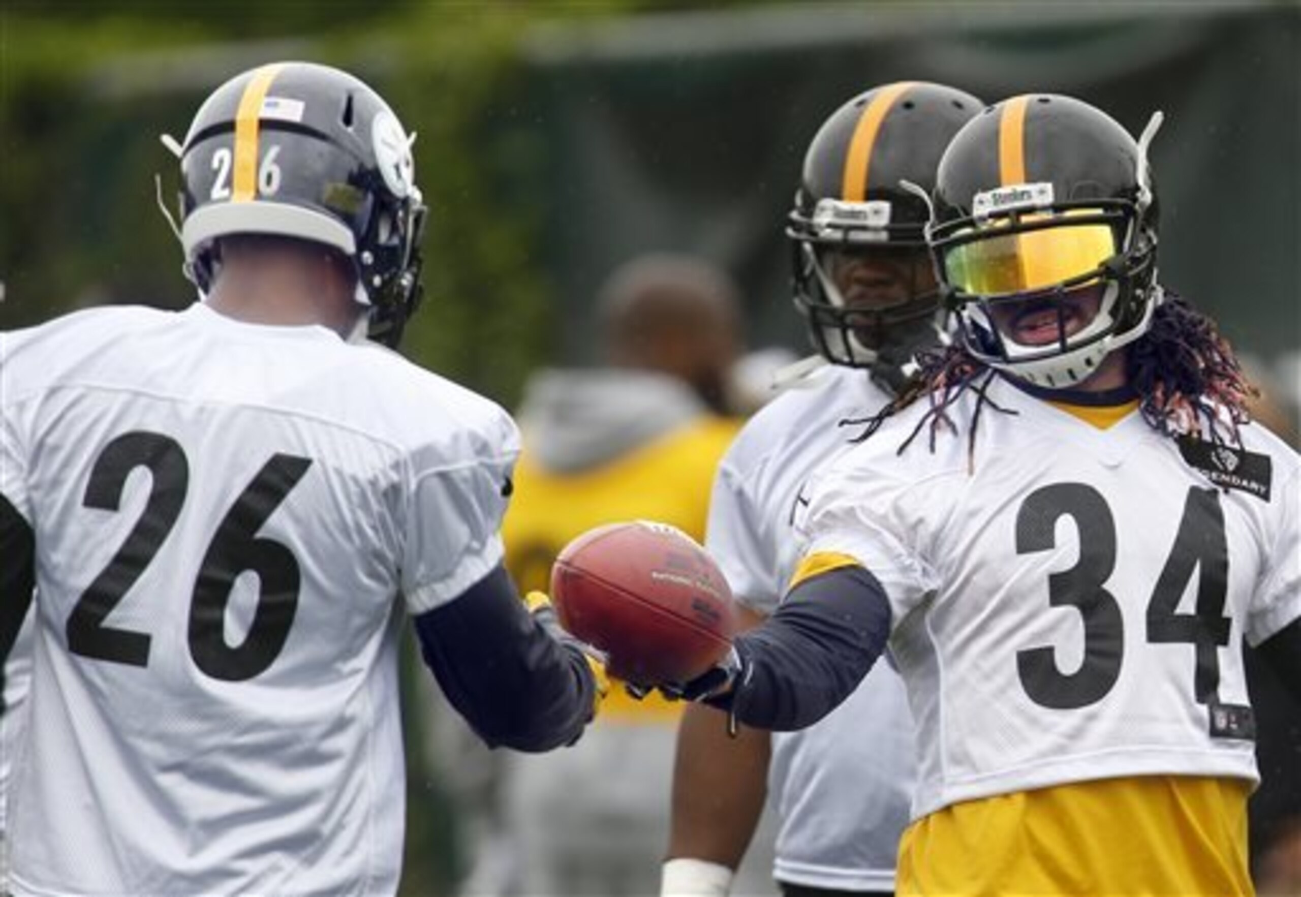 DeAngelo Williams is picking up the offensive scheme.